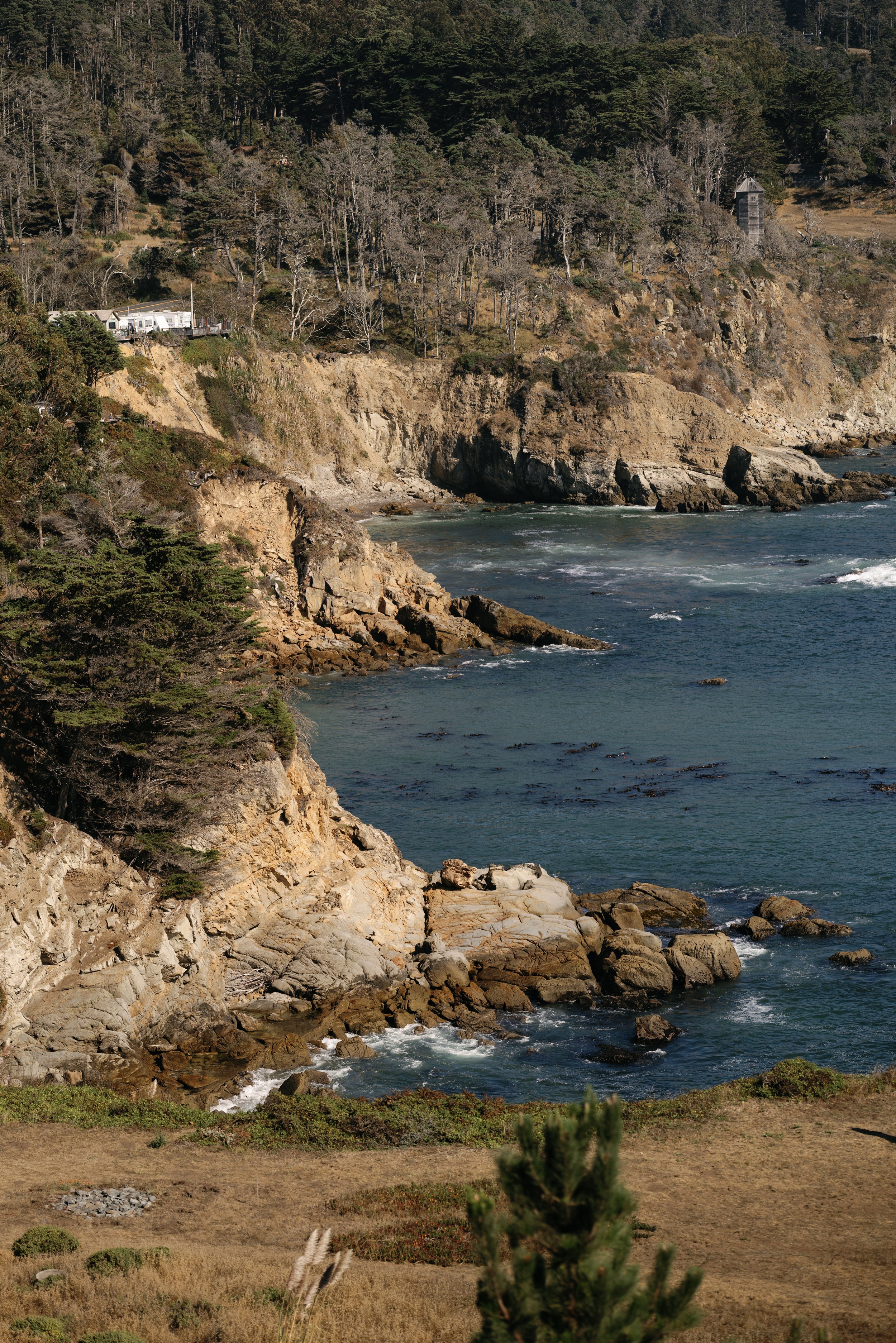 coastal timber cove wedding planner.jpg