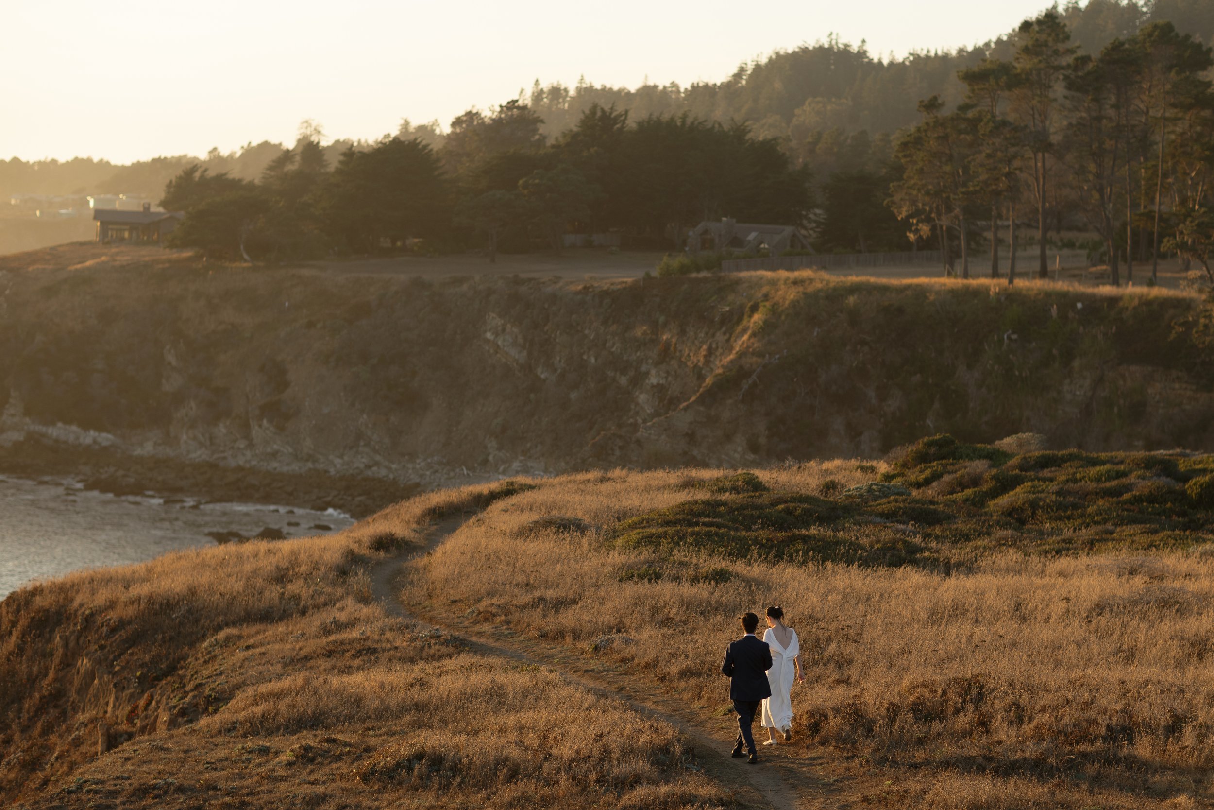 coastal timber cove wedding planner.jpg