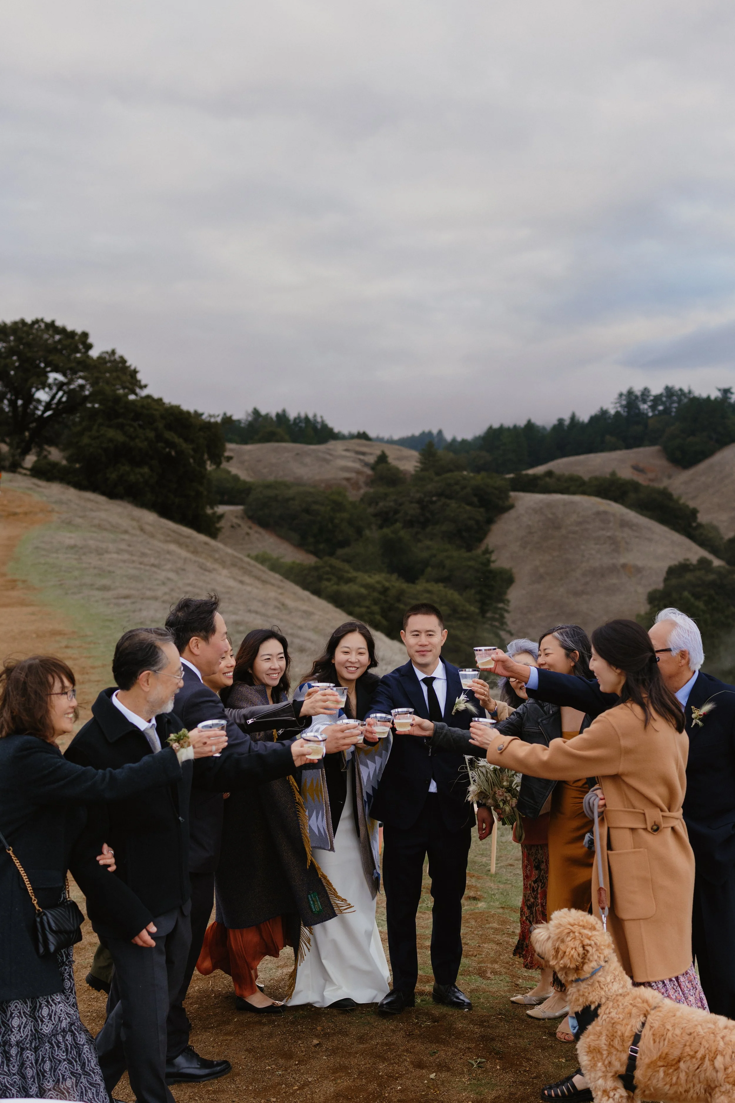 A group of people outdoors celebrating, holding drinks, with a bride in white and groom in a dark suit at the center, surrounded by friends and family, on a grassy field with rolling hills and cloudy sky.