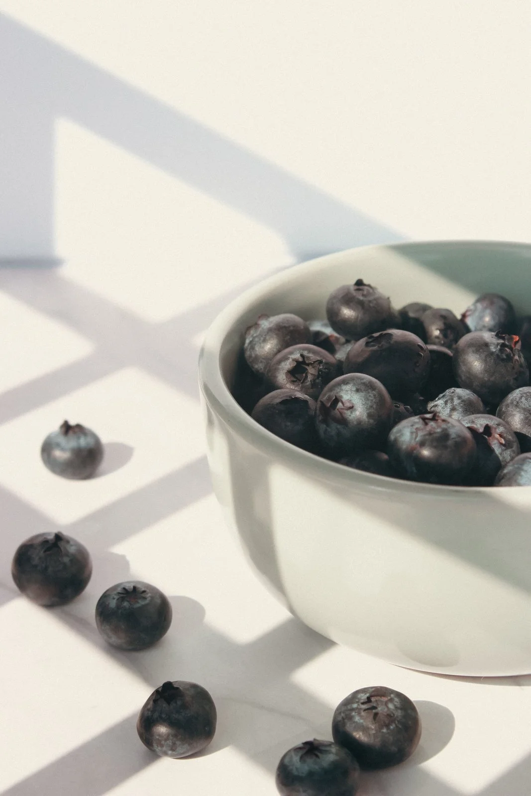 Bowl of fresh blueberries in soft sunlight, part of a balanced approach to weight loss without medication