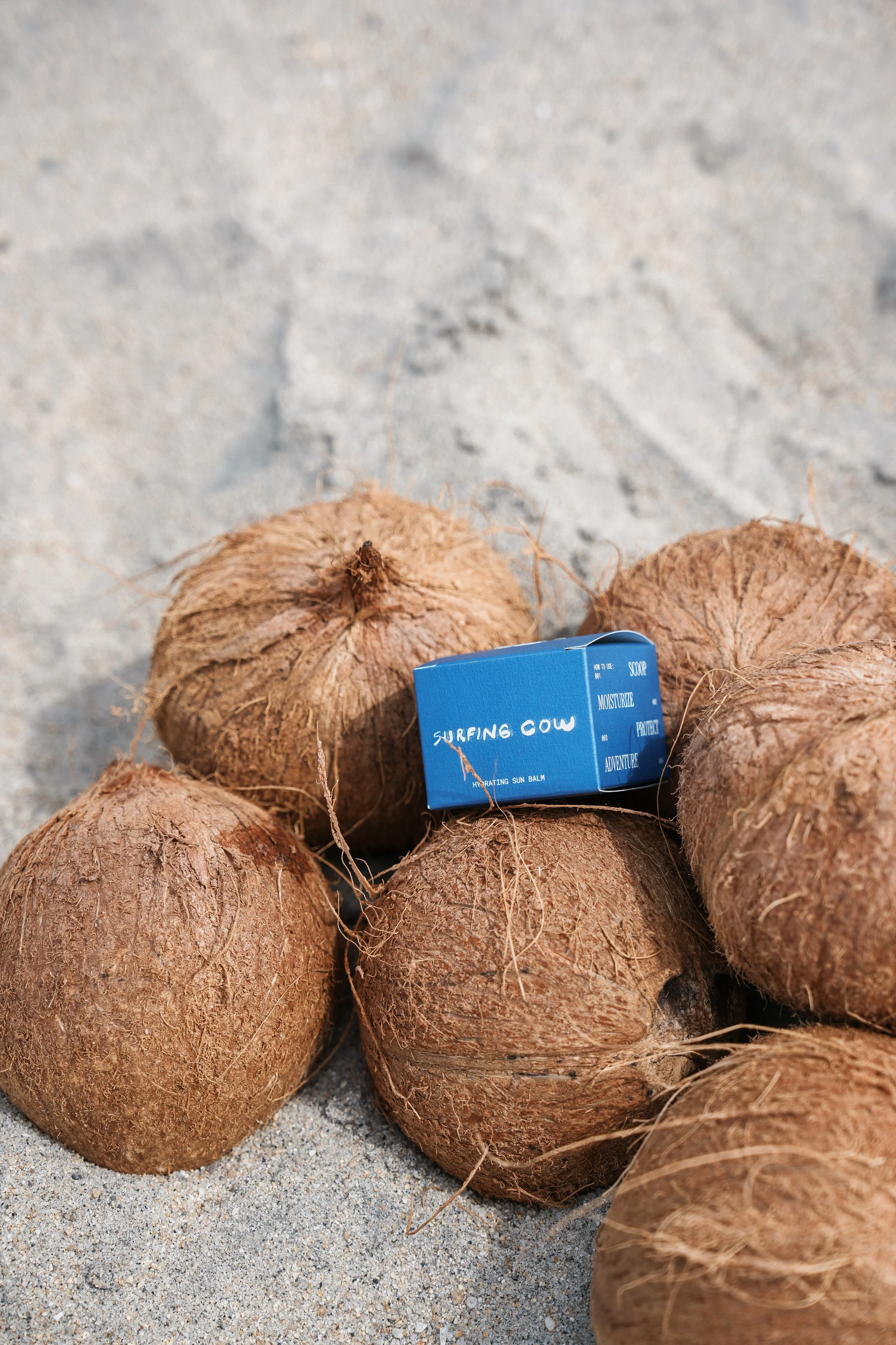 Several coconuts on sandy ground with a blue box labeled 'Surfing Cow' among them.
