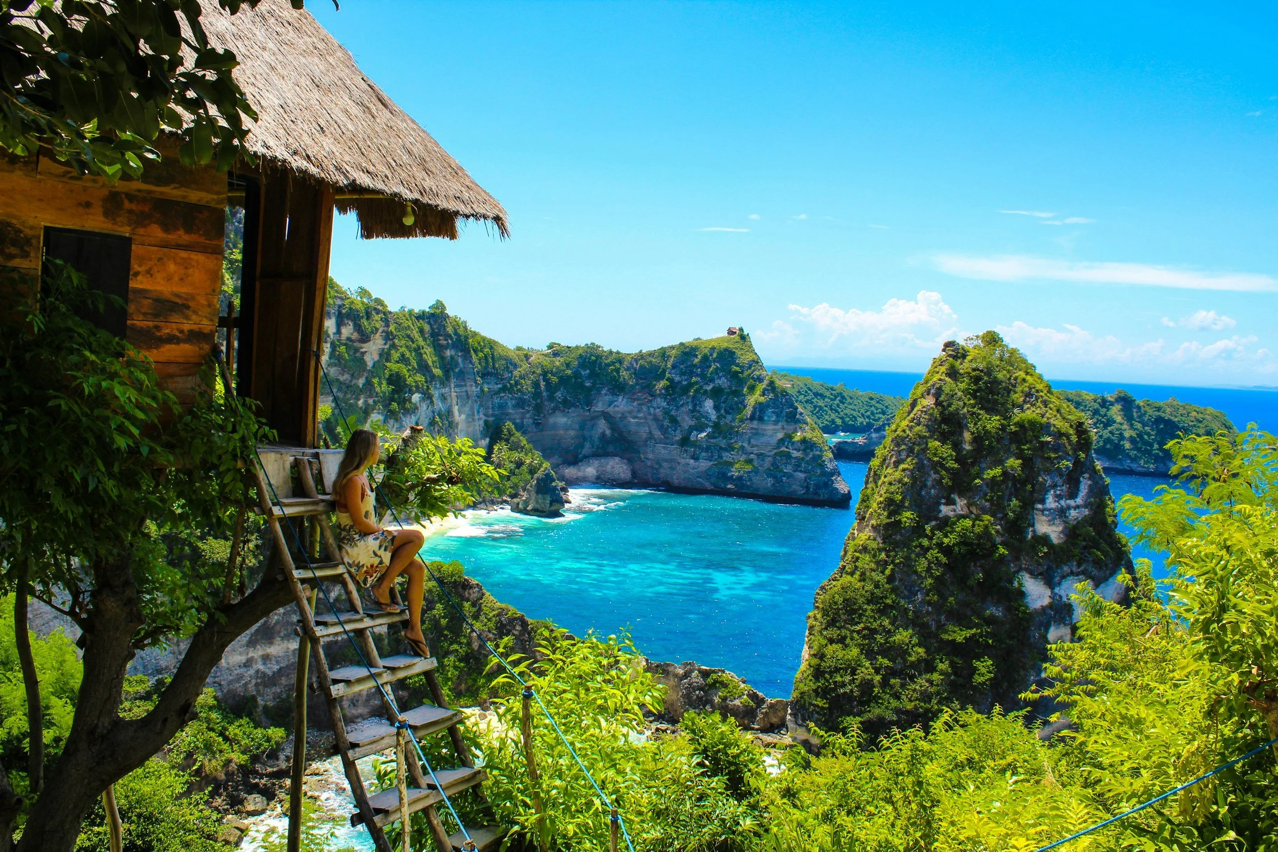 A woman sitting on a wooden swing on a tree overlooking a coastal landscape with cliffs, green vegetation, and blue ocean under a clear sky.