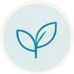 Simple line drawing of a sprouting plant, symbolizing growth or nature.