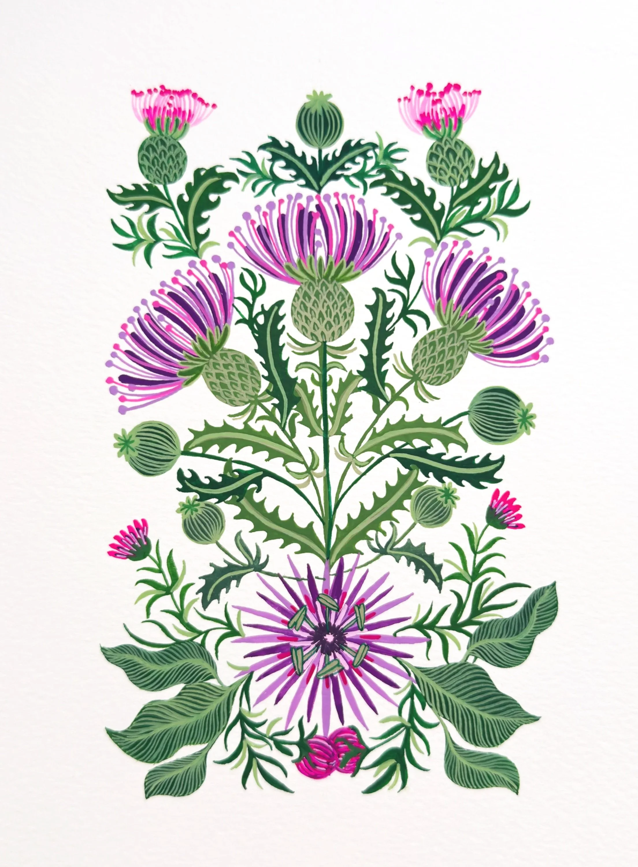 A detailed botanical illustration of a flowering plant, featuring pink and purple flowers, green buds, and lush green leaves.