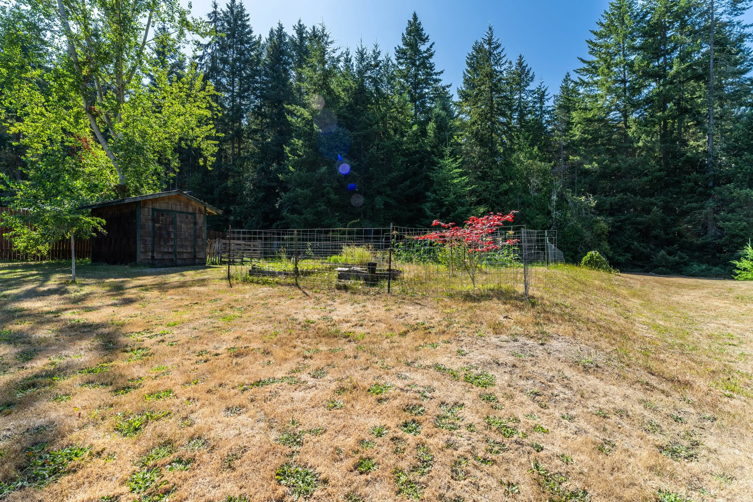 HOUSE_131DUNROLLIN_8.2.26-43.jpg