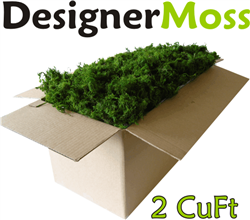 DM2CF DesignerMoss