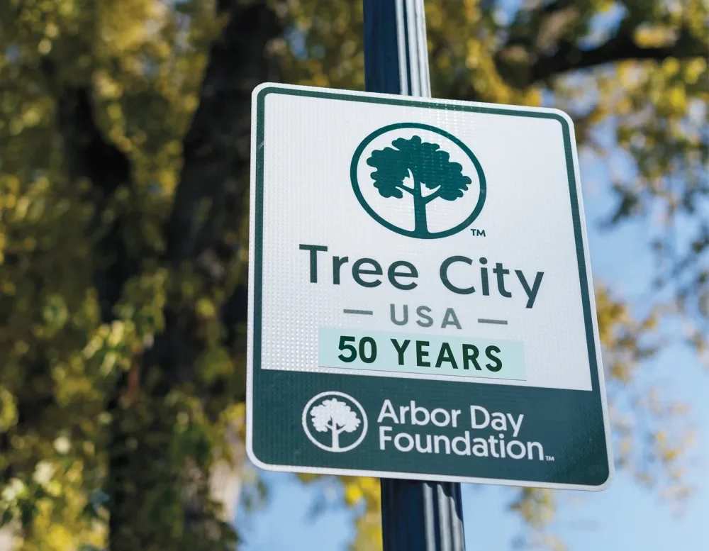 tree-city-usa_hero_50-years.jpg.webp