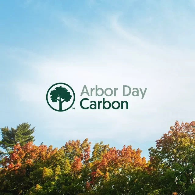 carbon_text-featured_adc-logo_1280x1280.jpg.webp