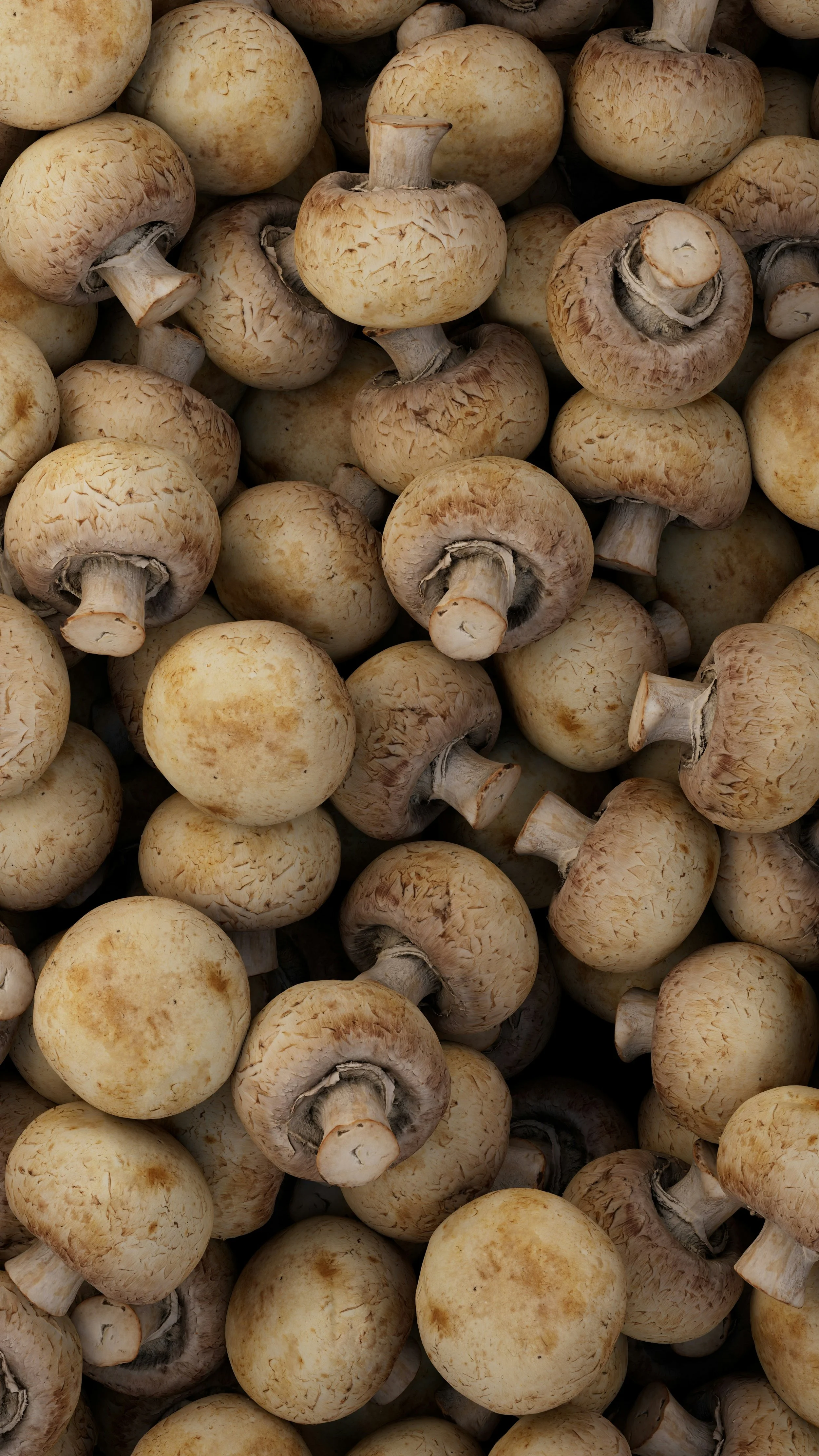 A large pile of fresh white button mushrooms.