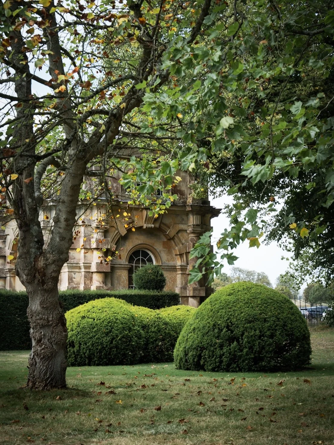 Badminton estate open gardens is a joy on every occasion. For me it is a perfect coming together of beautiful architecture and gardens. It has a lovely walled garden too, with one of my favourite things (a greenhouse) but because I always want to wai