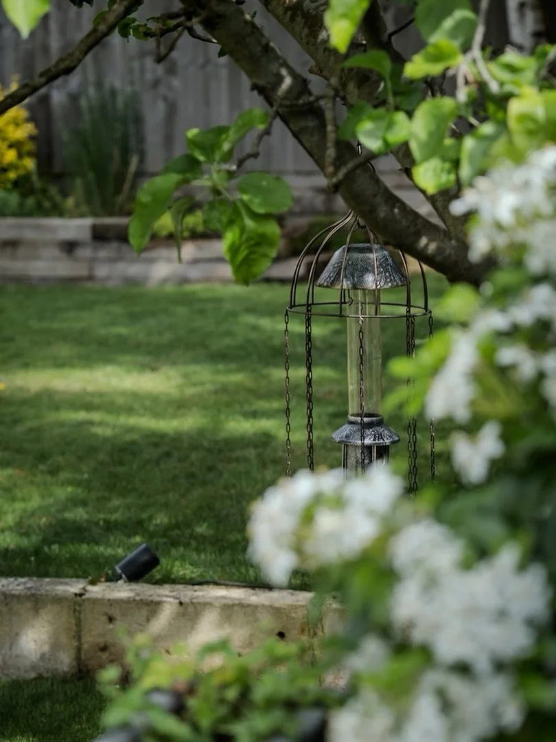 Scenes from my garden a few months back 🌿🌳🪴 

The honeysuckle smelt incredible, as did the Syringa (pic 2) which flowered at the same time as (other people&rsquo;s) wisteria and smelt just like it too.  I&rsquo;d highly recommend the syringa to fo