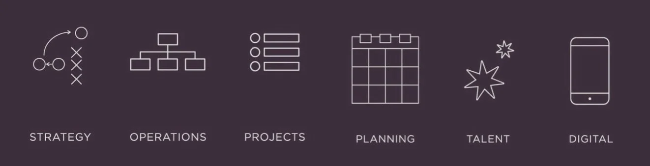 Icons representing strategy, operations, projects, planning, talent, and digital, accompanied by labels.