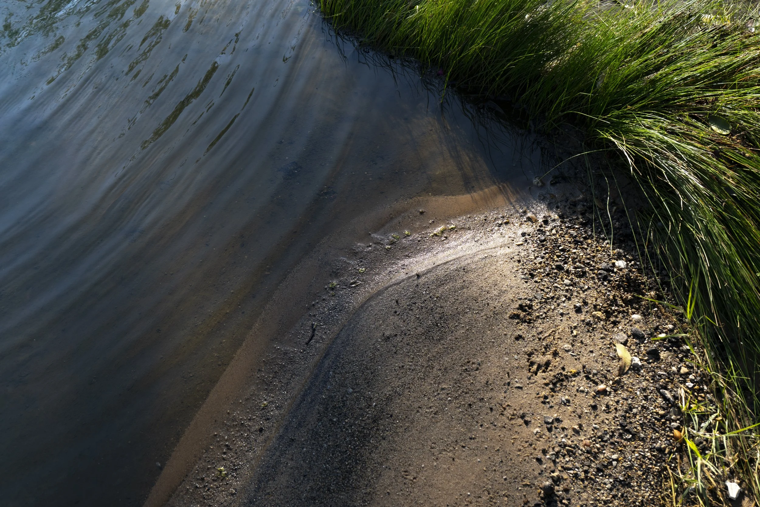 Shoreline of a body of water with sand and pebbles, green grass growing nearby, and gentle ripples in the water.