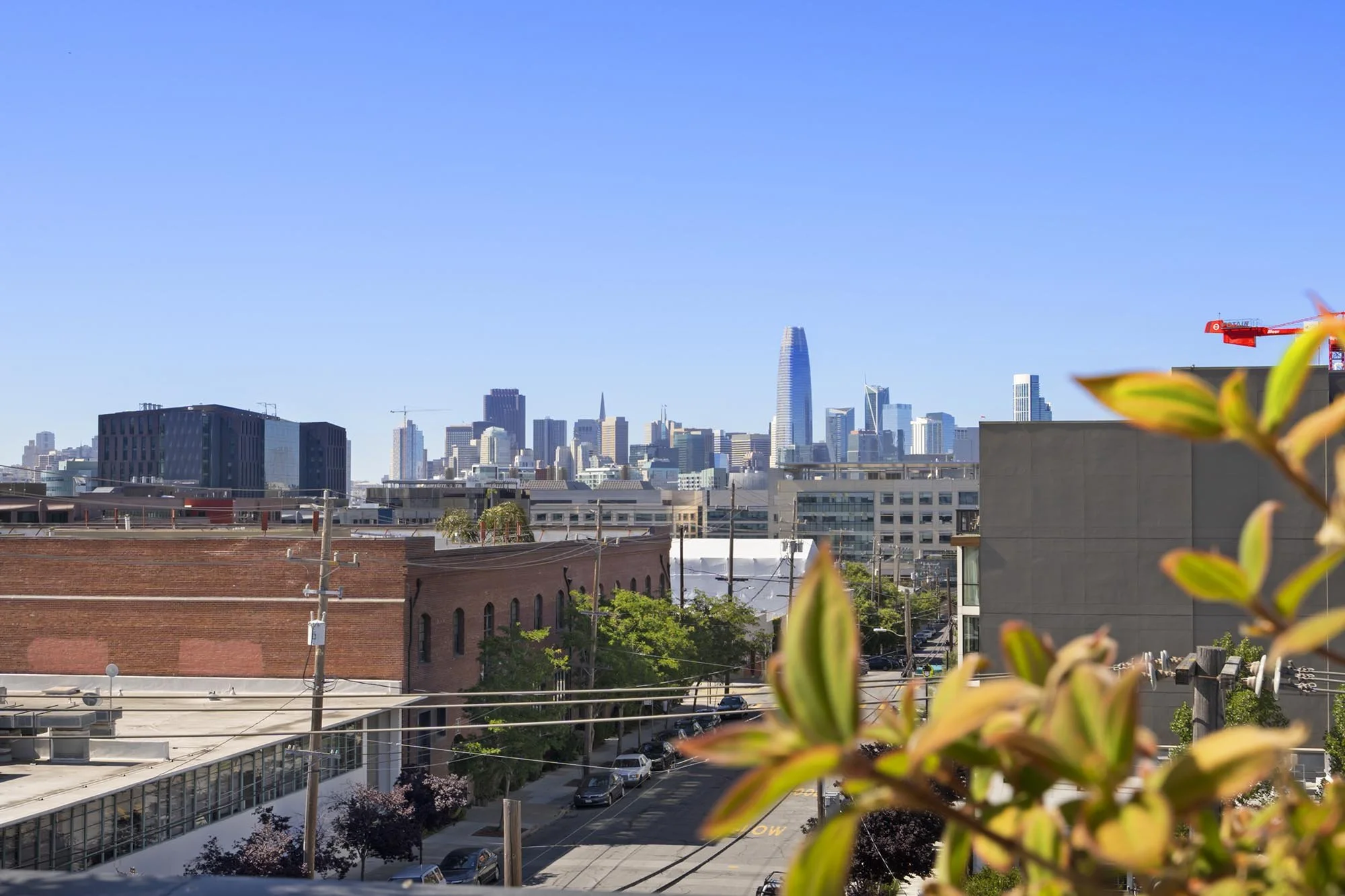 Downtown city skyline with tall modern buildings, a clear blue sky, some trees and plants in the foreground, and rooftops and streets below.