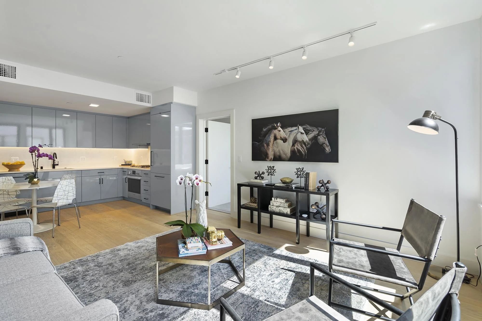 Modern living room with a gray sofa, wooden coffee table with books, a black console with horse artwork, and a floor lamp.