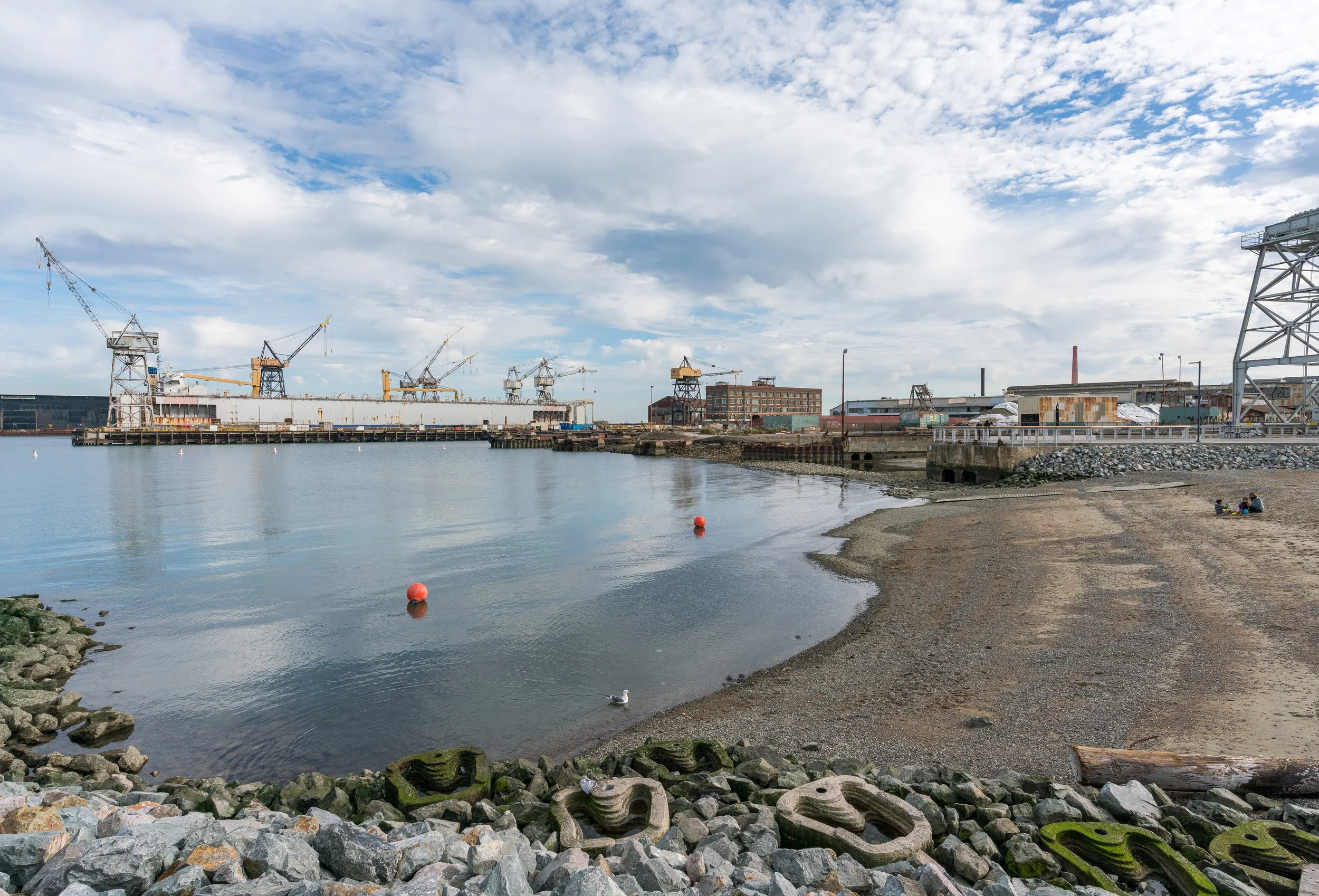 View of a harbor with several construction cranes, a docked ship, industrial buildings, and a partly cloudy sky. The foreground features a rocky shoreline with a couple of swans swimming in the water.