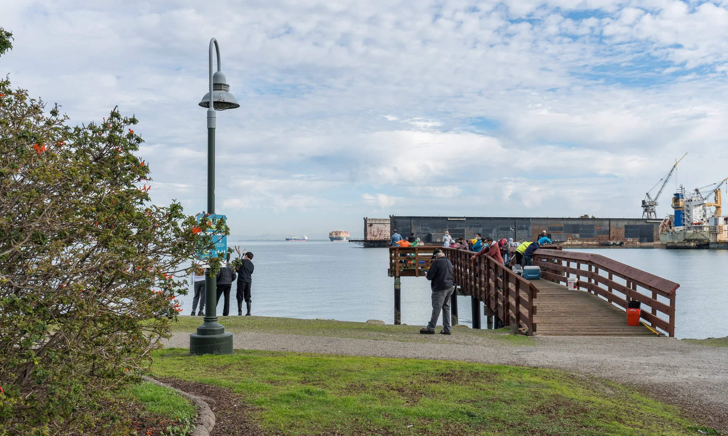 People fishing off a wooden pier by the water, with large ships and cranes in the distance. A lamppost and bushes are in the foreground, and the sky is partly cloudy.