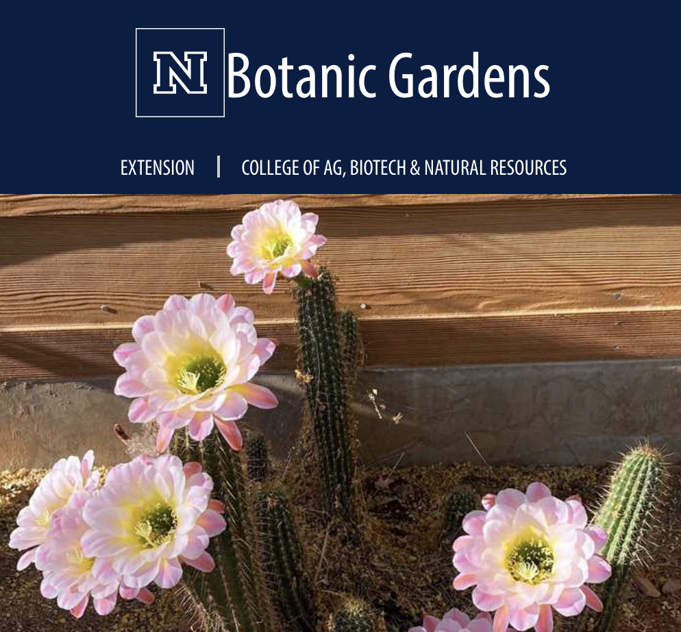 Botanic Gardens  of Las Vegas UNR Extension 