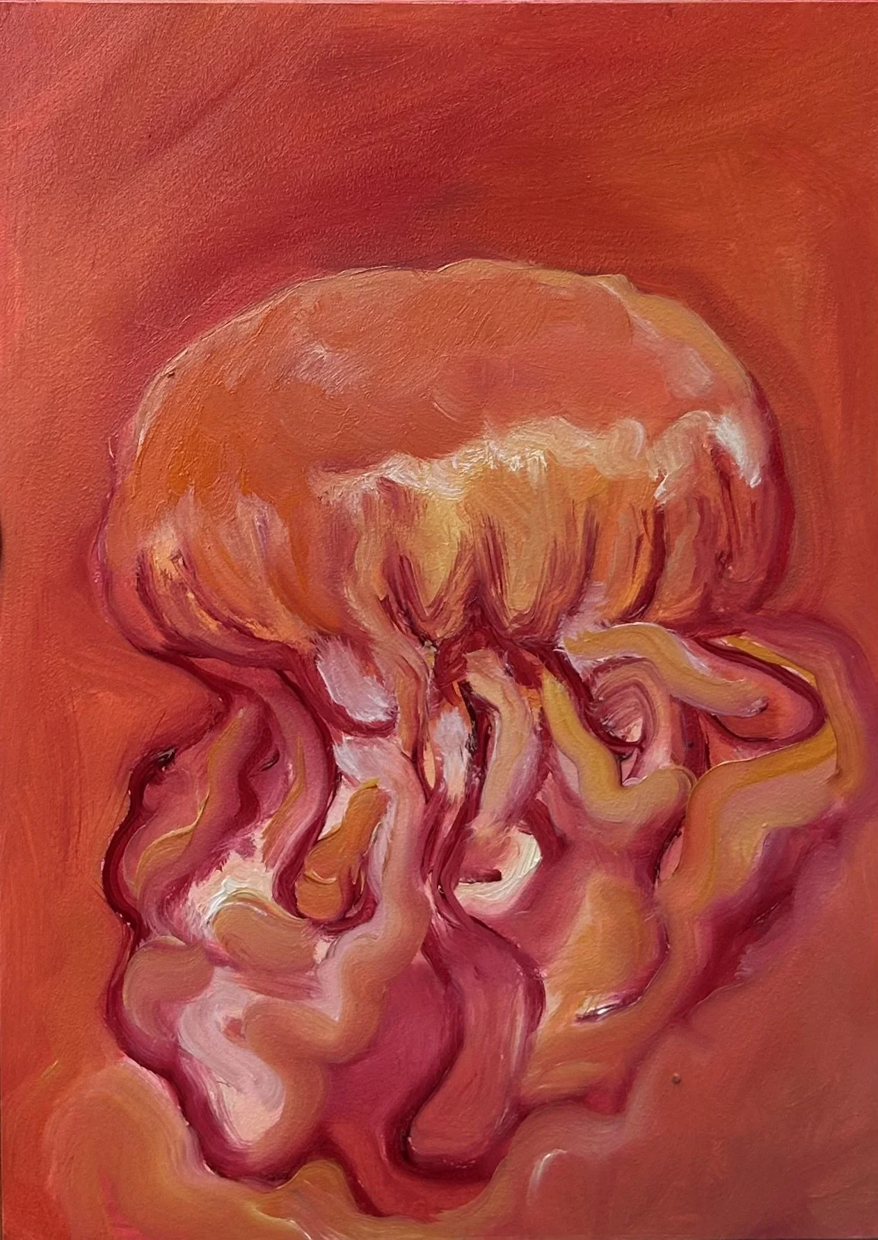 Jellyfish
