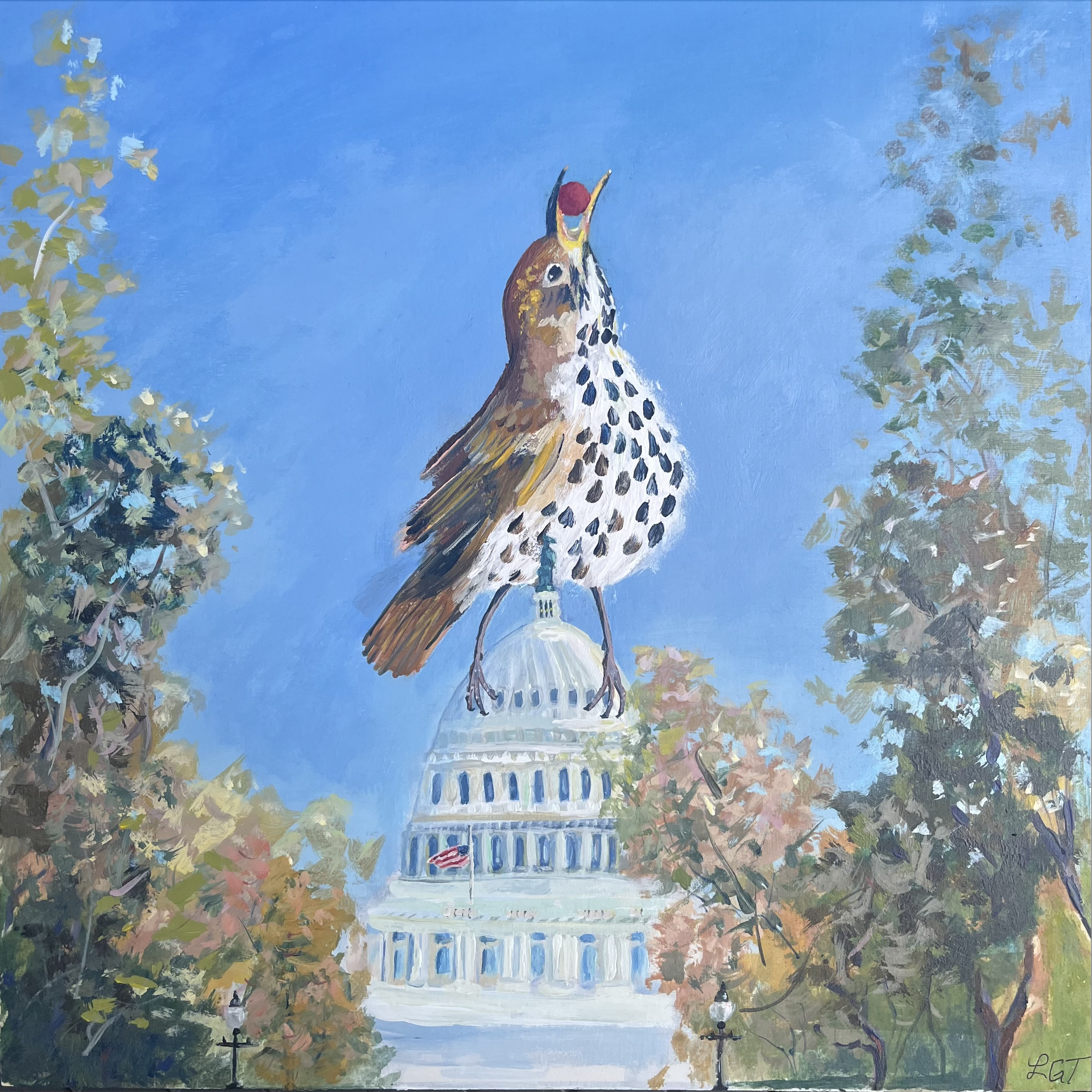 Gulp! by Laura Torres | Fun Fact: The Wood Thrush is the official bird of the District of Columbia. | Although known for being a bit of a recluse, the Wood Thrush has a big personality…with an angelic, flute-like song stretching across the bustling c