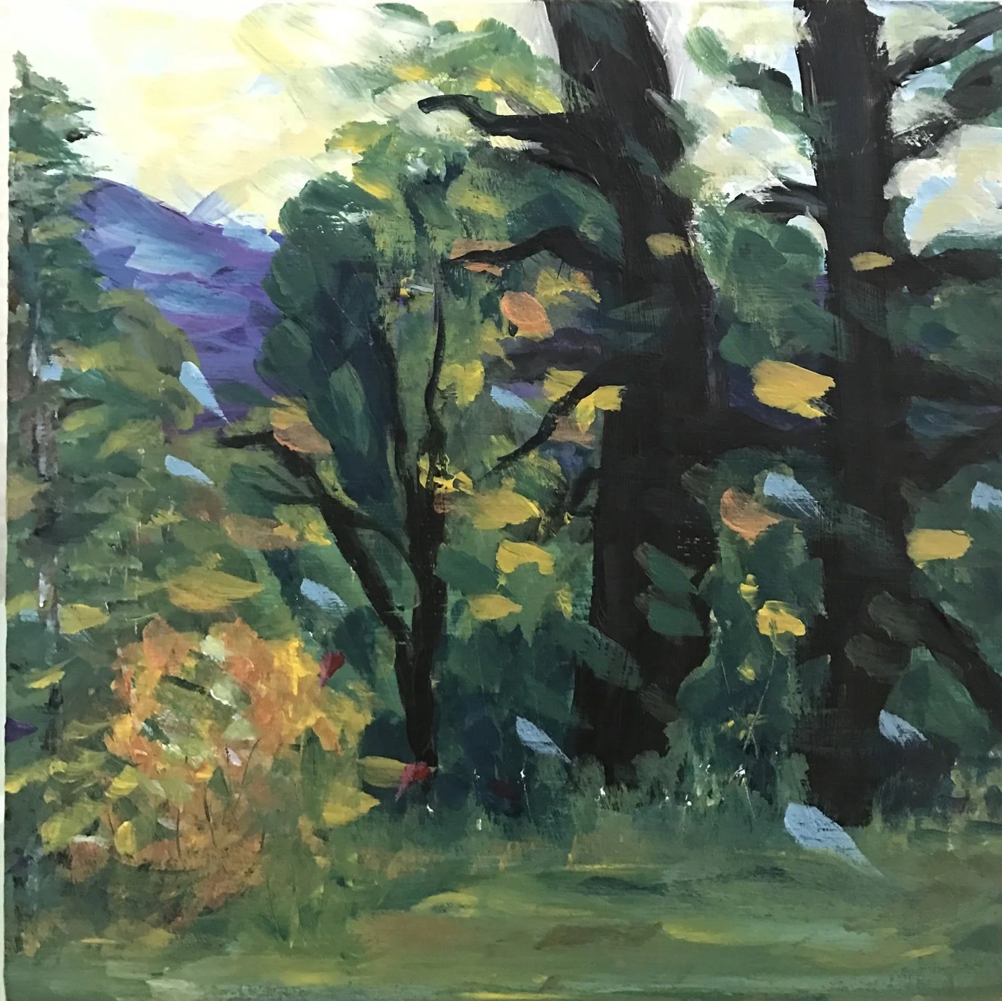 Hill Country Breeze by Laura Torres |
Location: Texas Hill Country