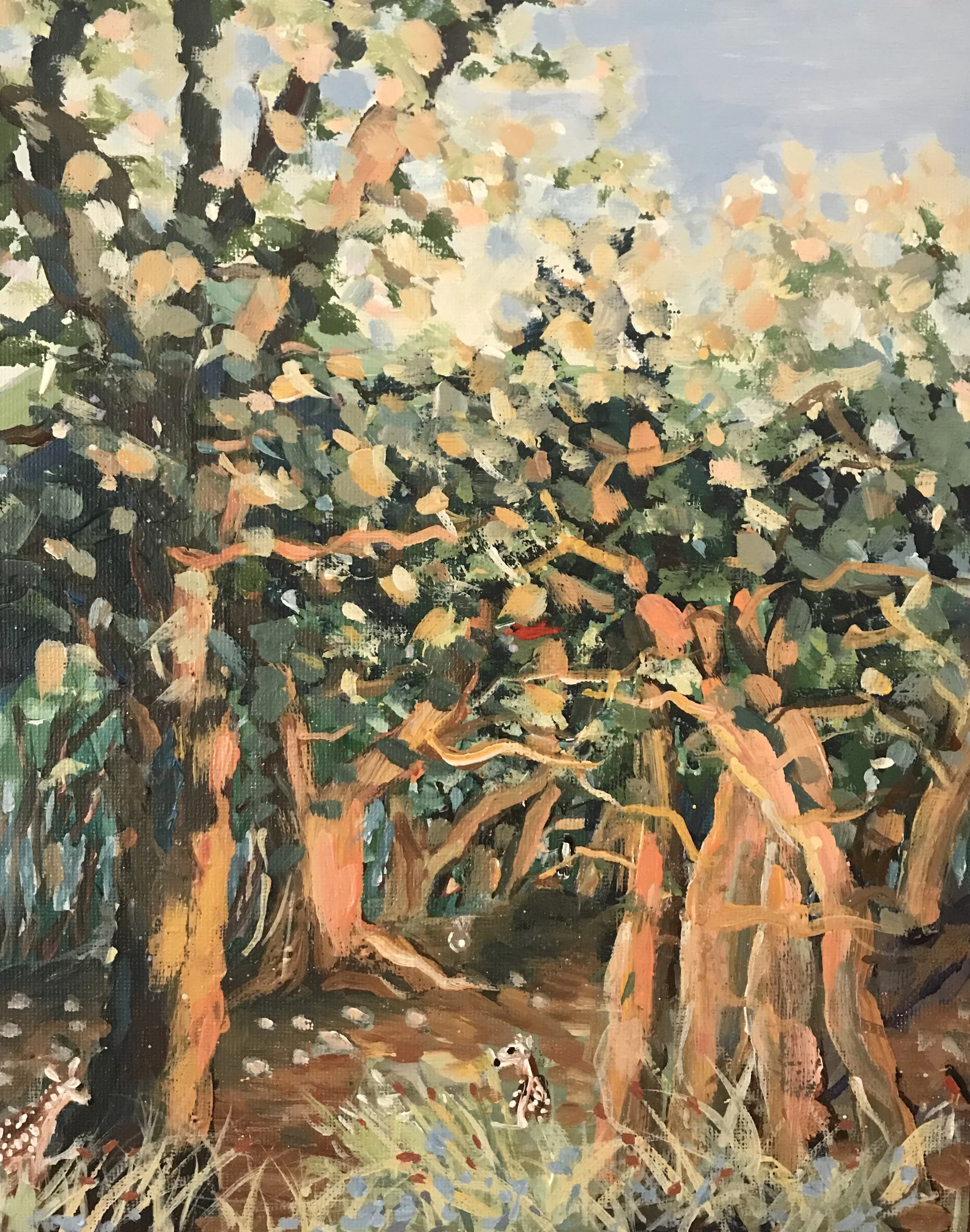 Sunset Glow by Laura Torres |

Lit by the golden light of the setting sun, this painting invites you to explore a hidden world among the glowing trees. Can you spot the three birds and two deer tucked into the scene? |

Location: Texas Hill Country
