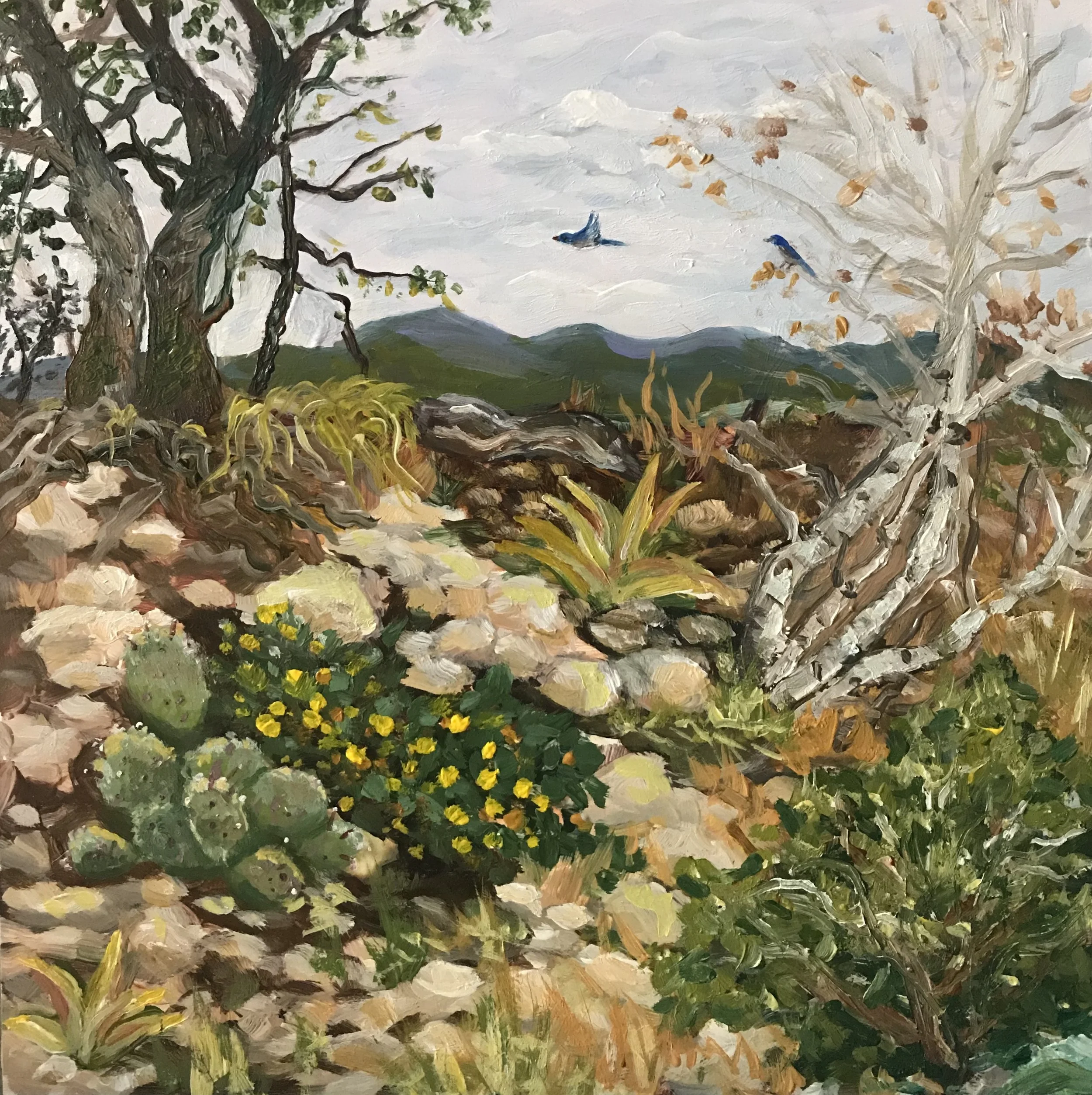 Wimberley by Laura Torres |
As I was painting this view on location, a couple of bluebirds flew in front of me, symbols of happiness across various cultures. | Location: Wimberley, Texas
