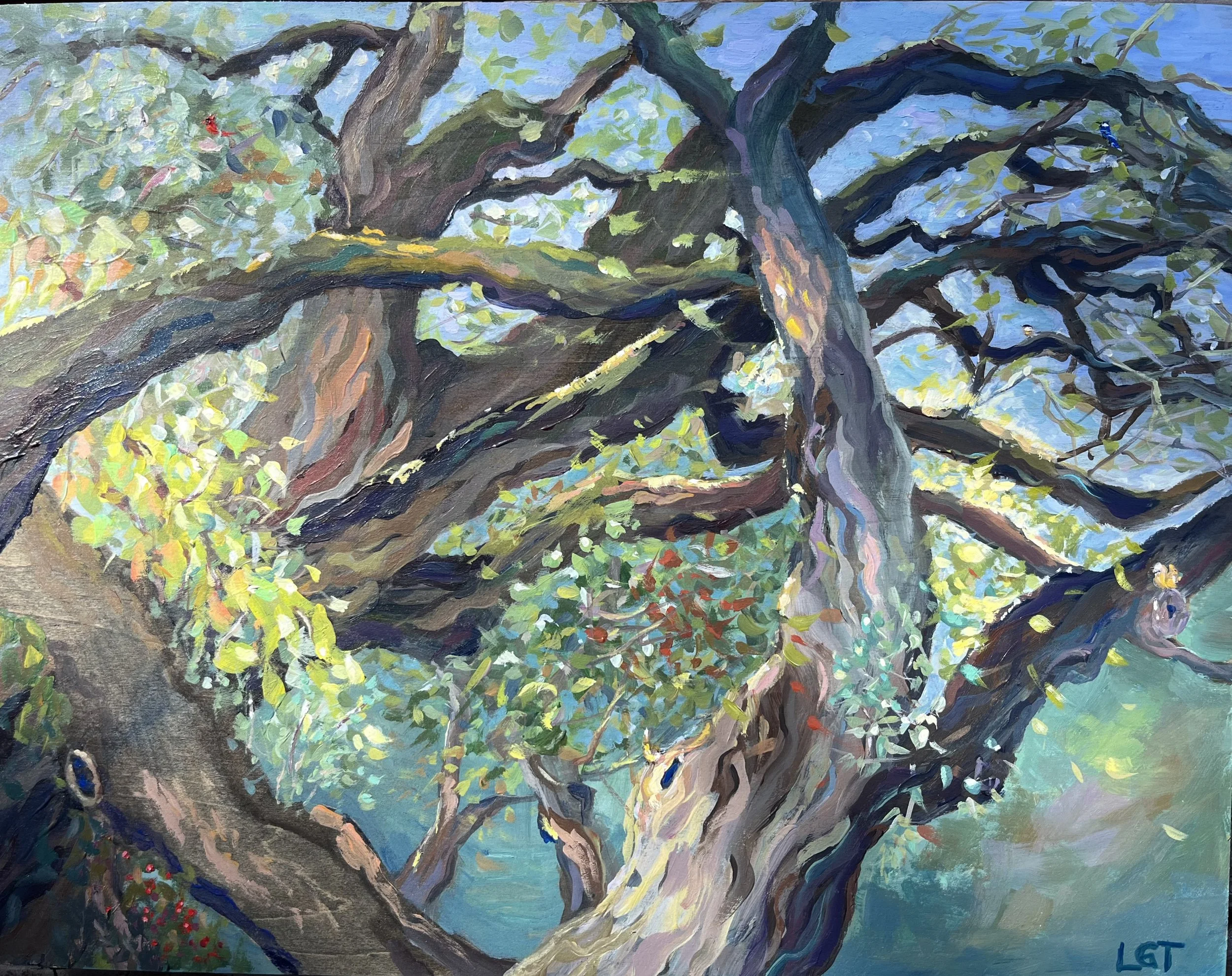Awakening by Laura Torres |

This painting hides four birds and one hungry squirrel among the twisted, sunlit trees. |

Location: Austin, Texas
