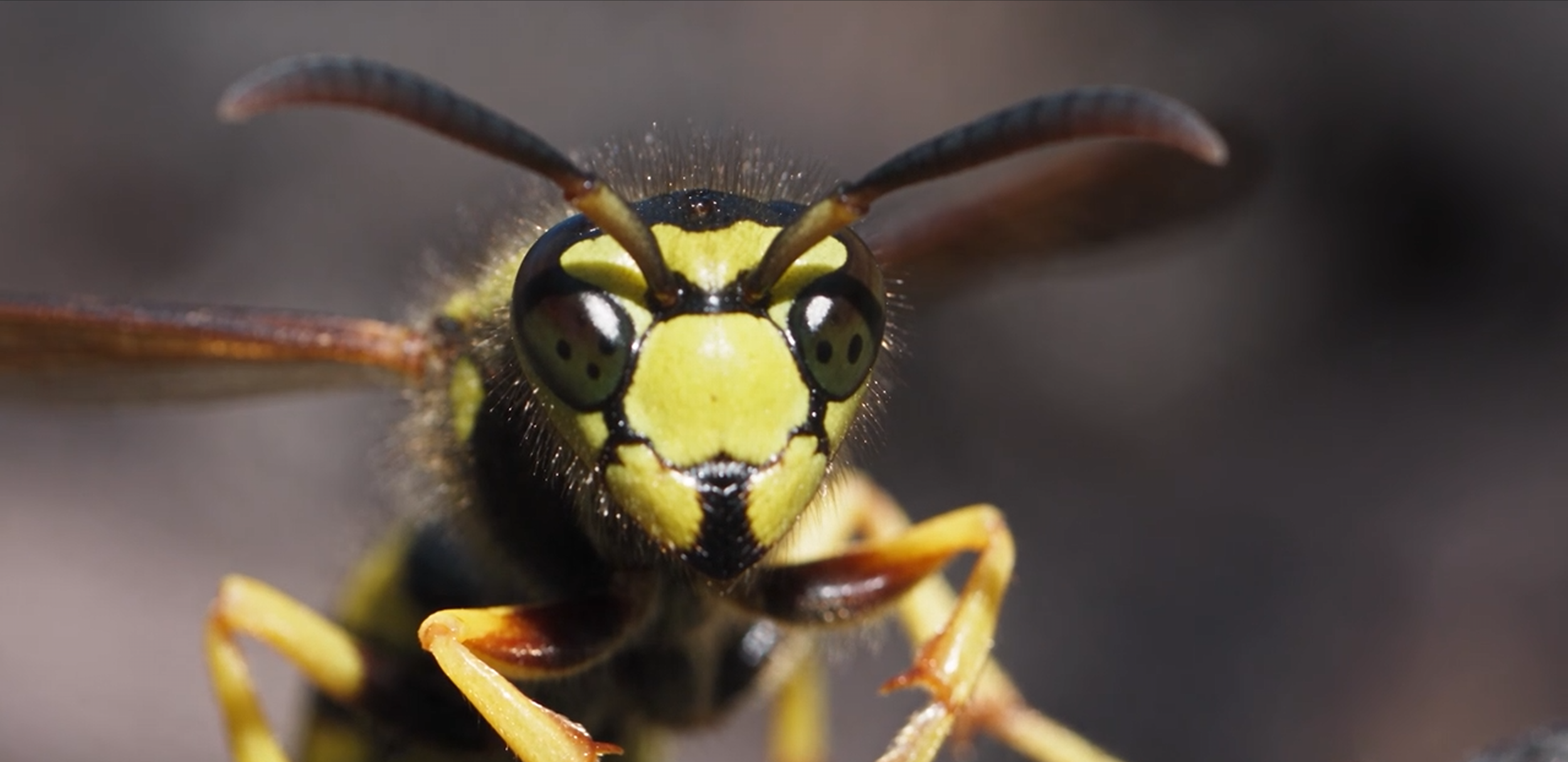 natureofthings.png