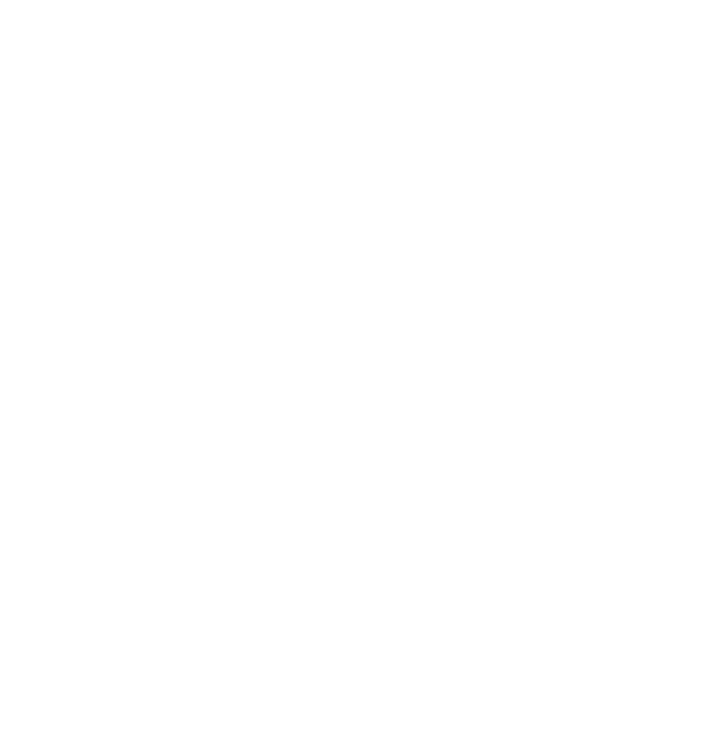 White stylized logo of a soaring bird with angular wings on a black background