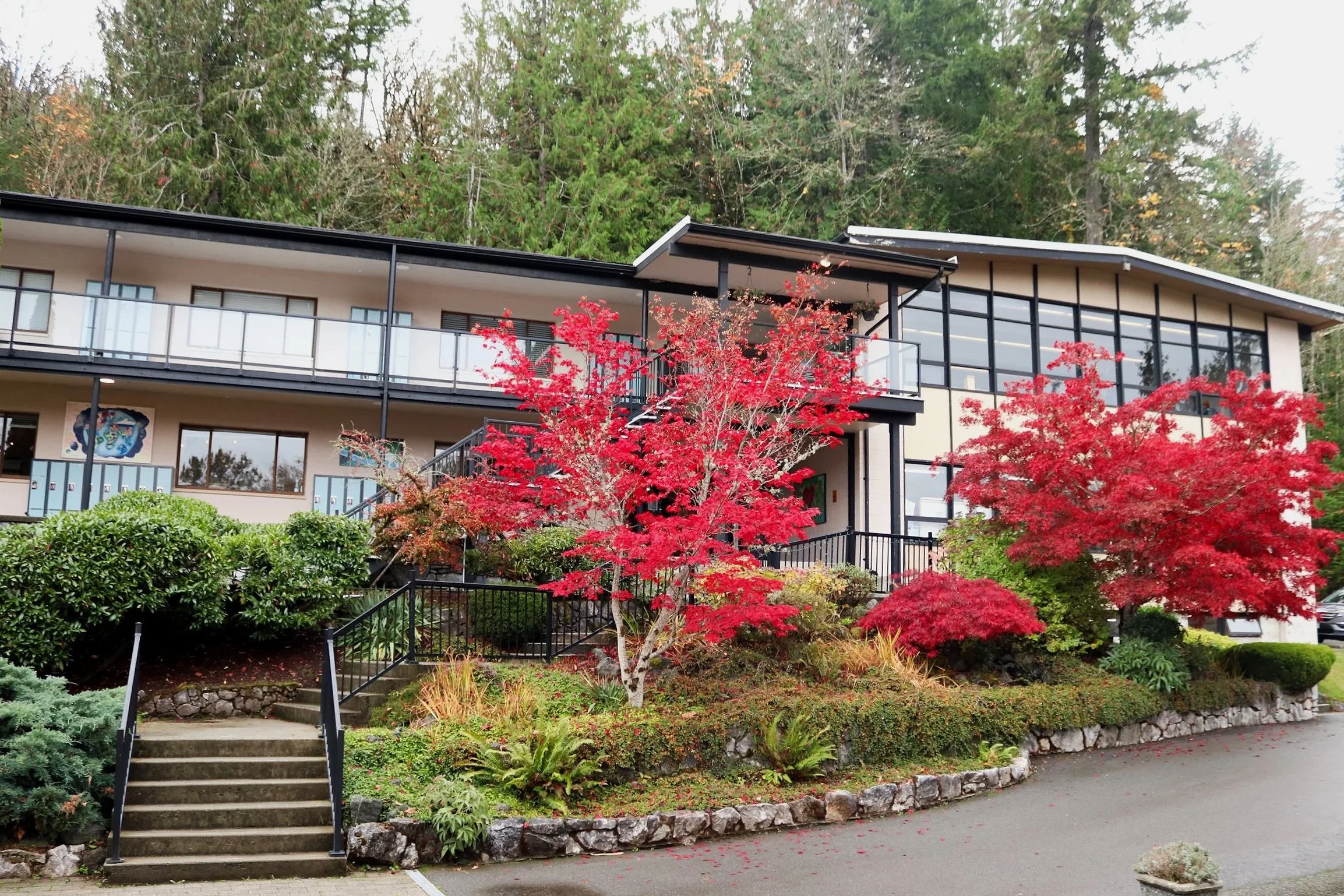 Modern two-story building surrounded by landscaped gardens and vibrant red Japanese maple trees
