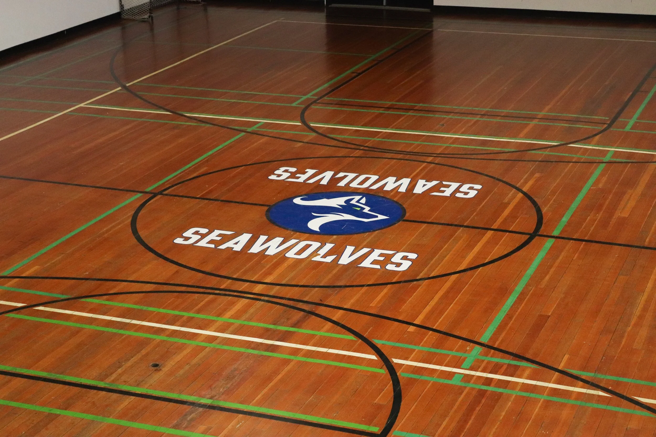 Polished indoor sports court with green and black lines, featuring a blue falcon logo and inverted “Seawolves” lettering at center court.