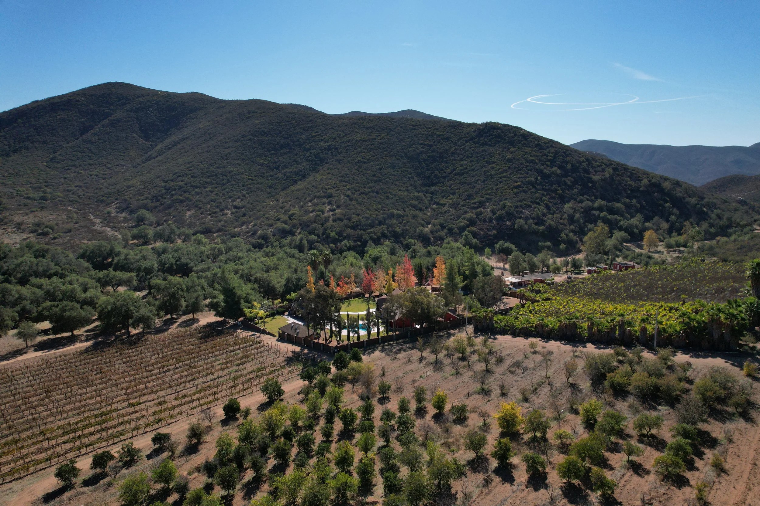 Aerial view of Baja Vineyard Lodge, vineyards, orchard, park and surrounding mountains in Valle de Guadalupe.