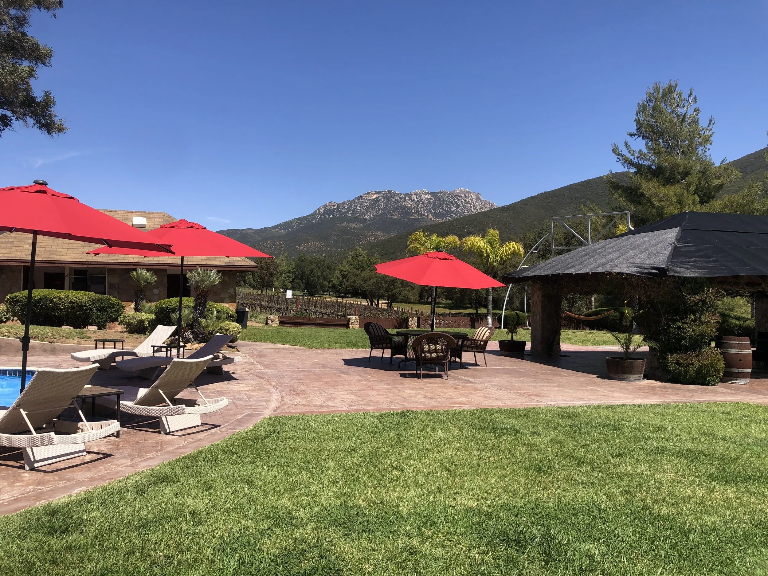 Outdoor pool area on left with lounge chairs, tables, red umbrellas, and the covered outside seating area with BBQ on the right, overlooking the vineyard, the oak-tree park and the mountains.