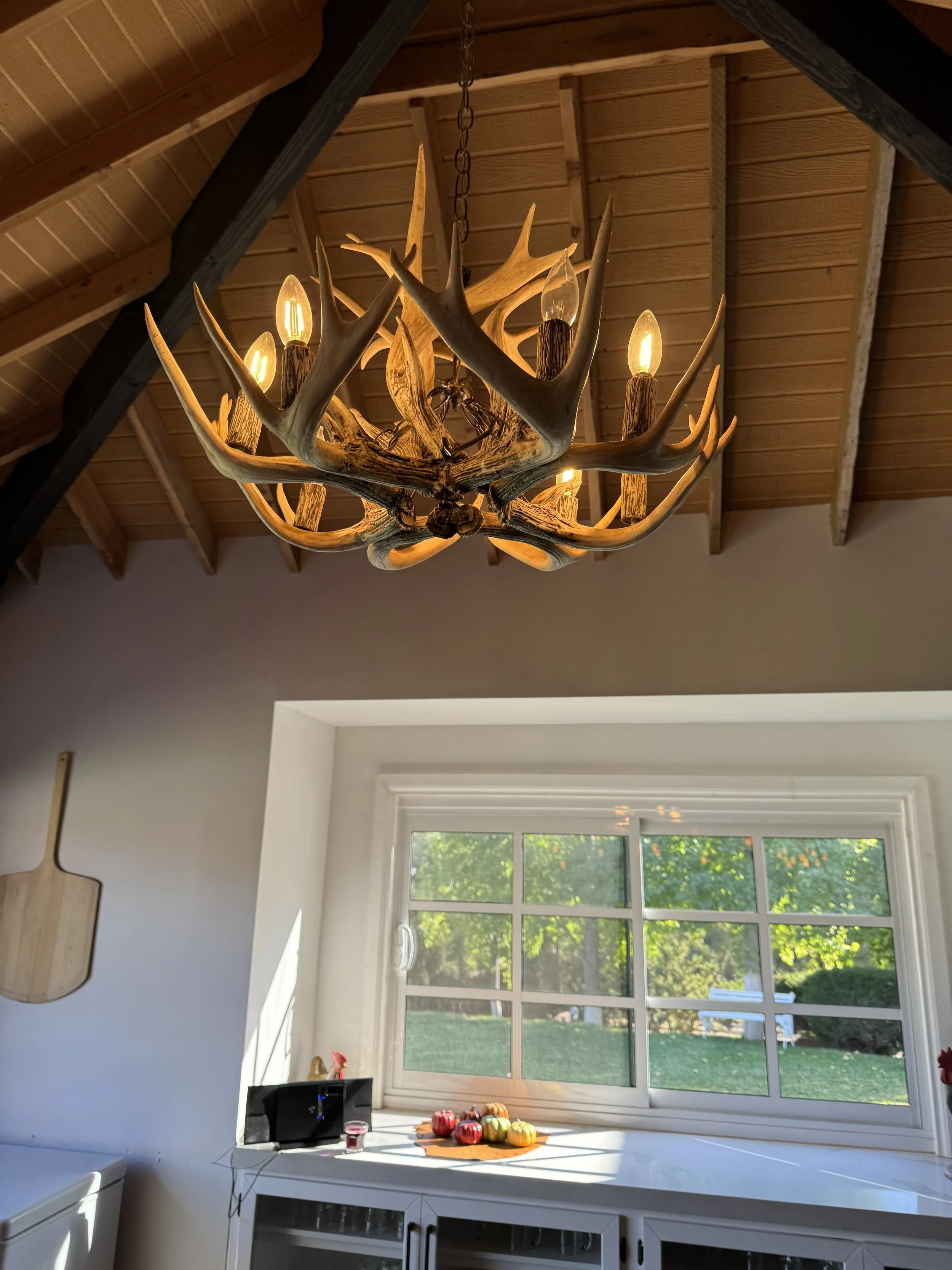 View from open-plan dining room to the garden.