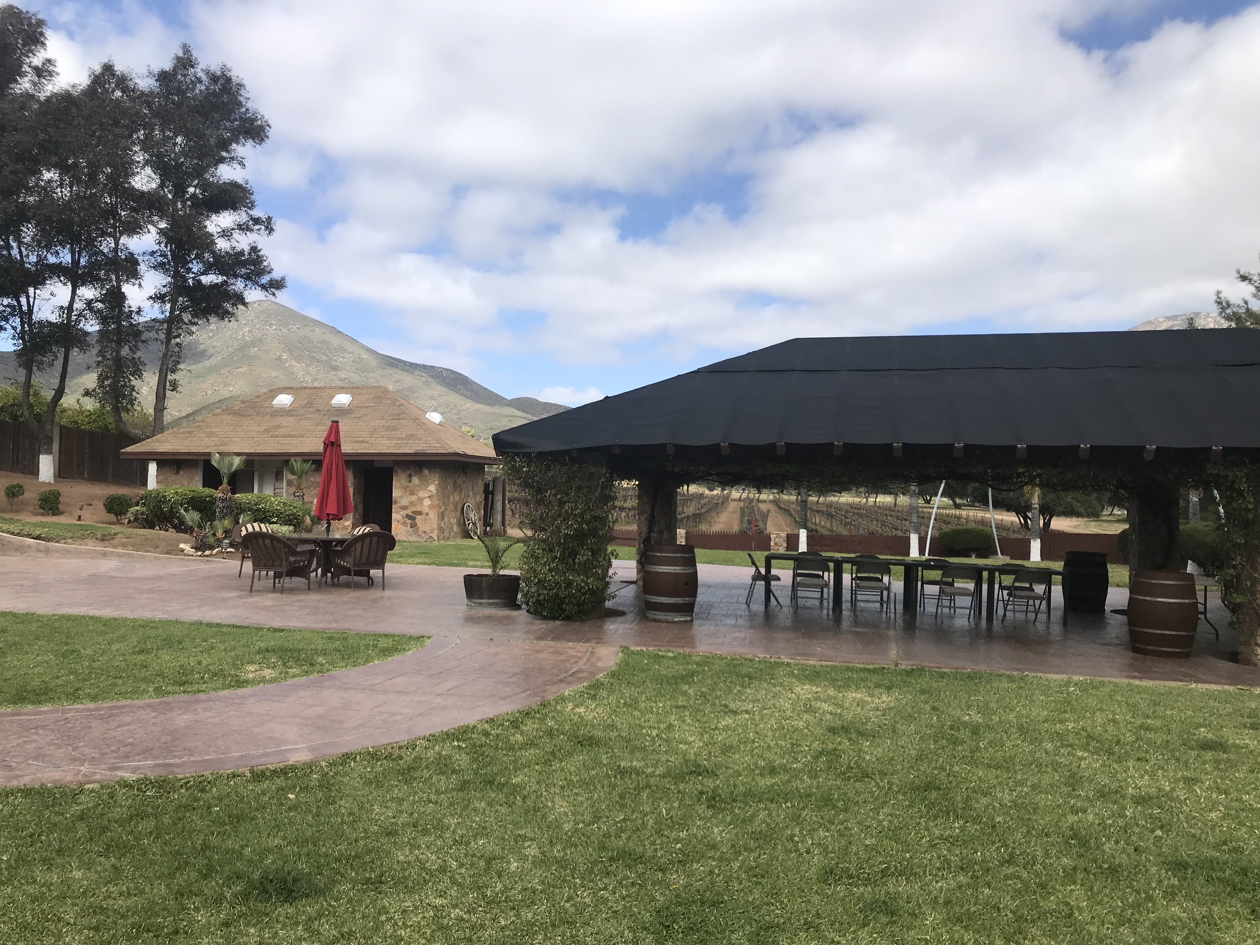 Garden and outdoor entertaining area with BBQ and  shaded seating area, overlooking the vineyard.