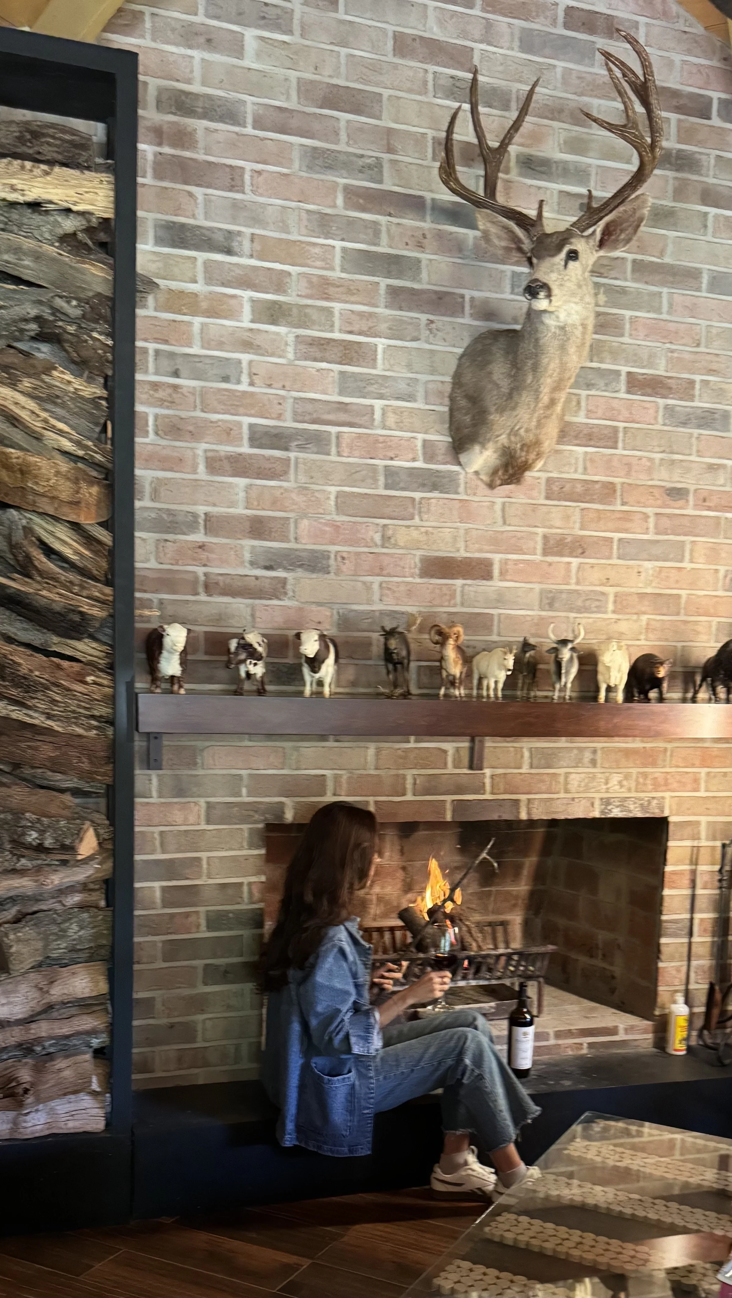 Guest enjoying our wine by the living room fireplace at Baja Vineyard Lodge.