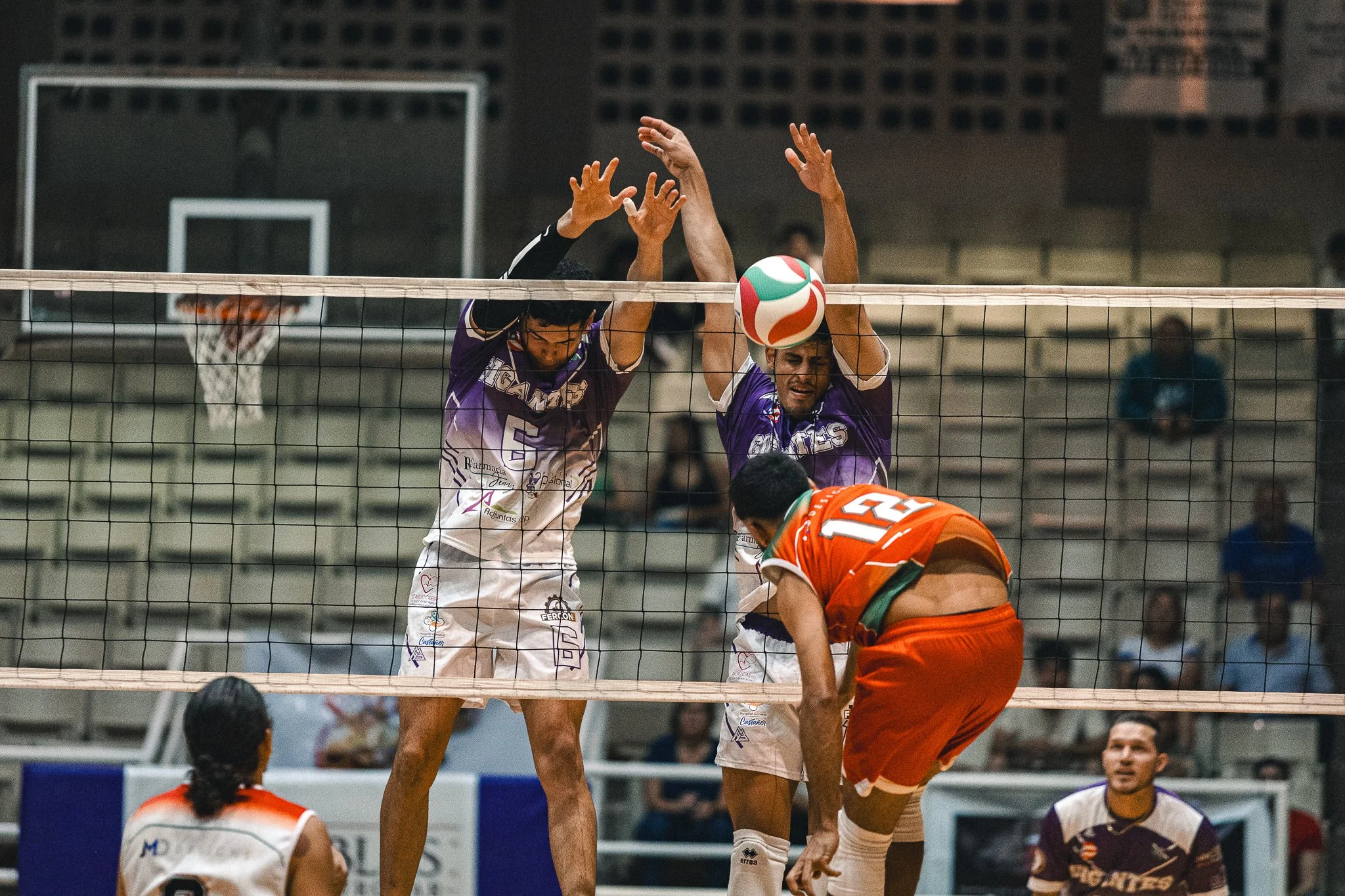 IMG_1063.jpg
