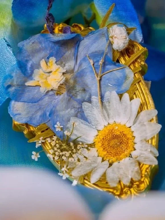 Daisy.jpg