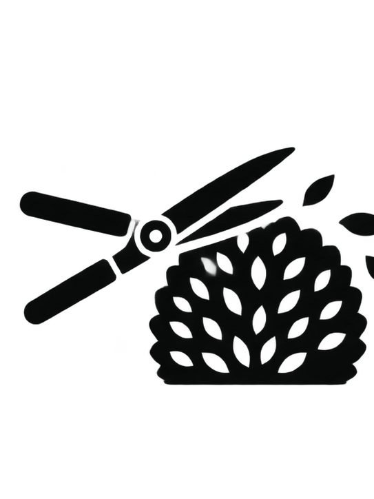 Custom Additions icon