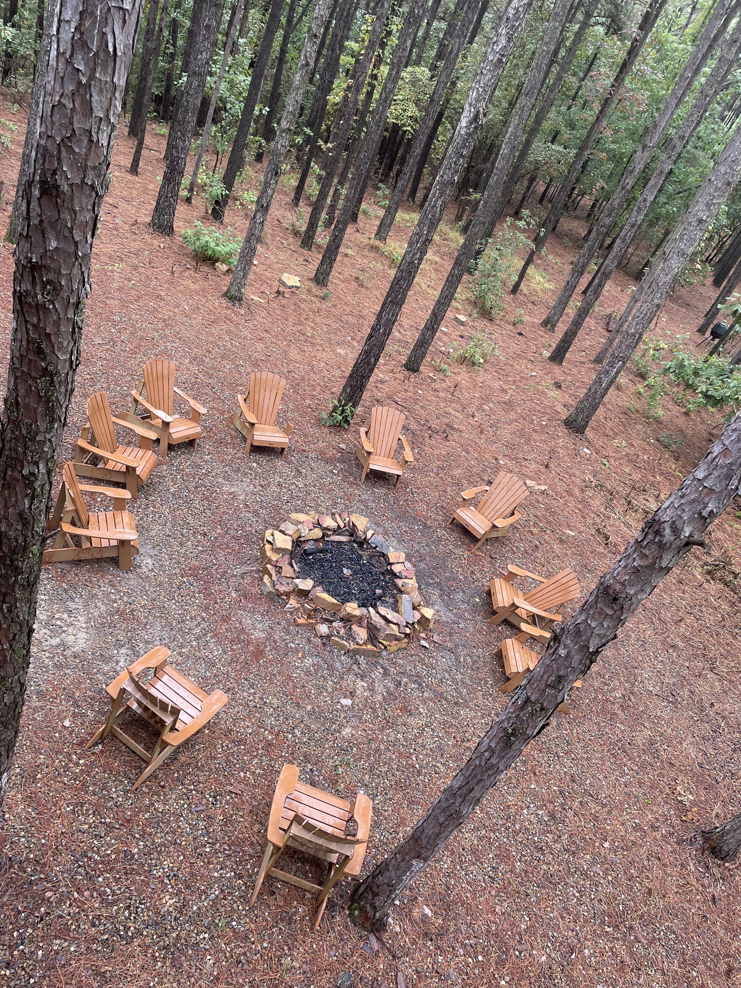 A circular arrangement of wooden chairs around a fire pit in a forested area with tall trees and reddish-brown ground cover.