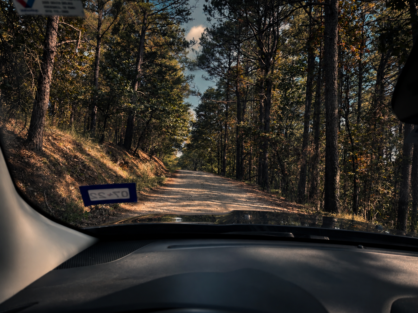 View from inside a car driving on a narrow dirt road through a wooded forest with trees on both sides and dappled sunlight filtering through the leaves.