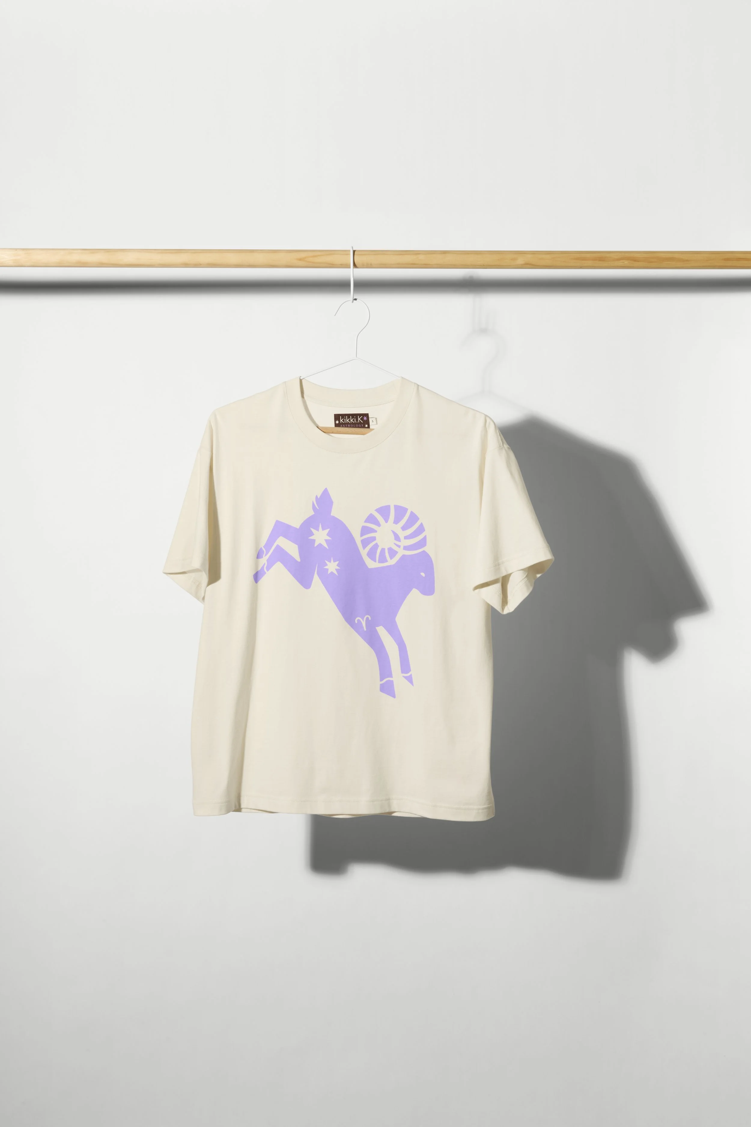EDM5-SHOT2-ASTRO-TEES-HANGING-4.jpg