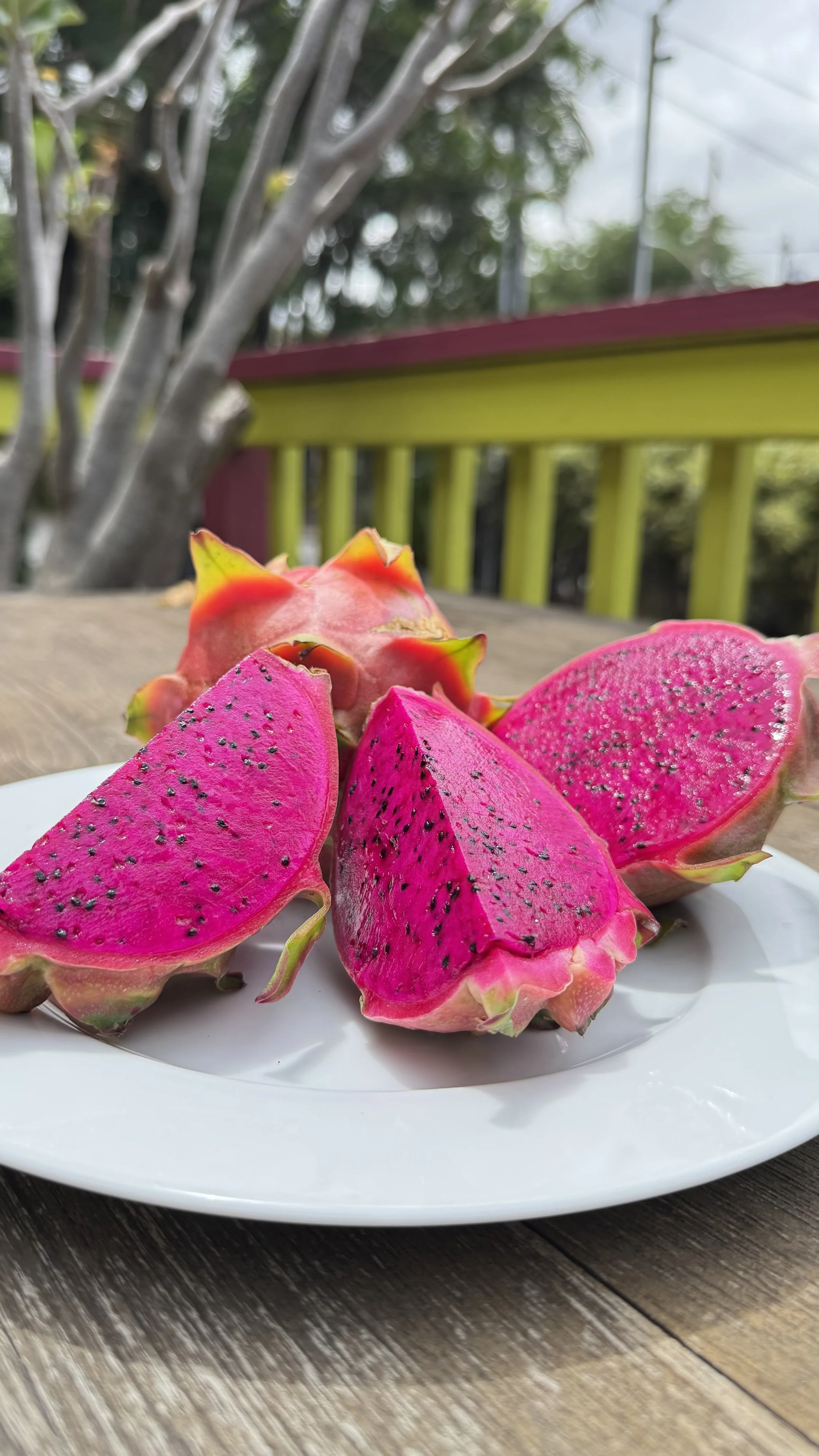 Fresh sliced pink dragon fruit on white plate outdoors
