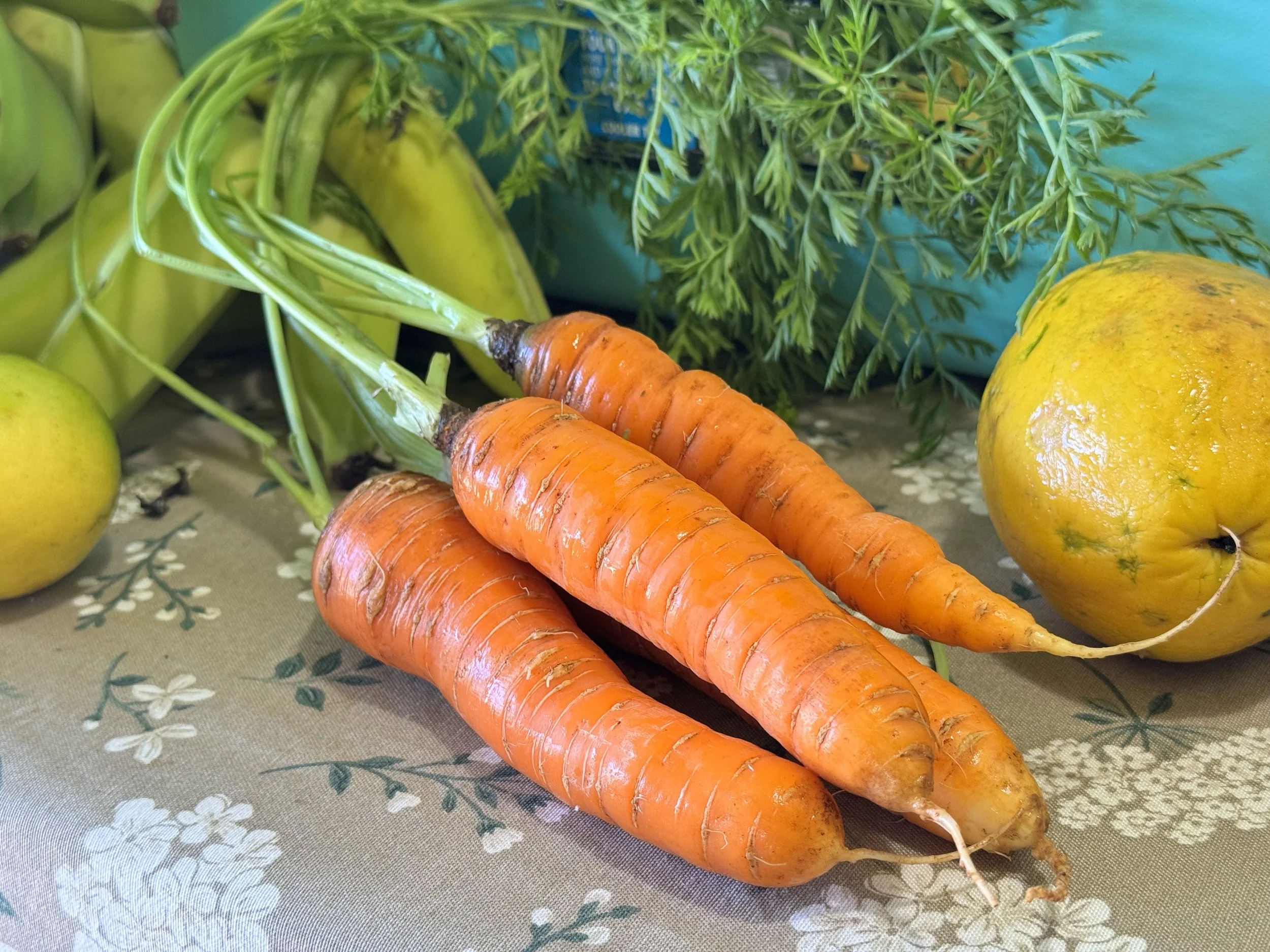 A bunch of orange carrots, two apples, and some leafy green herbs on a floral patterned tablecloth.