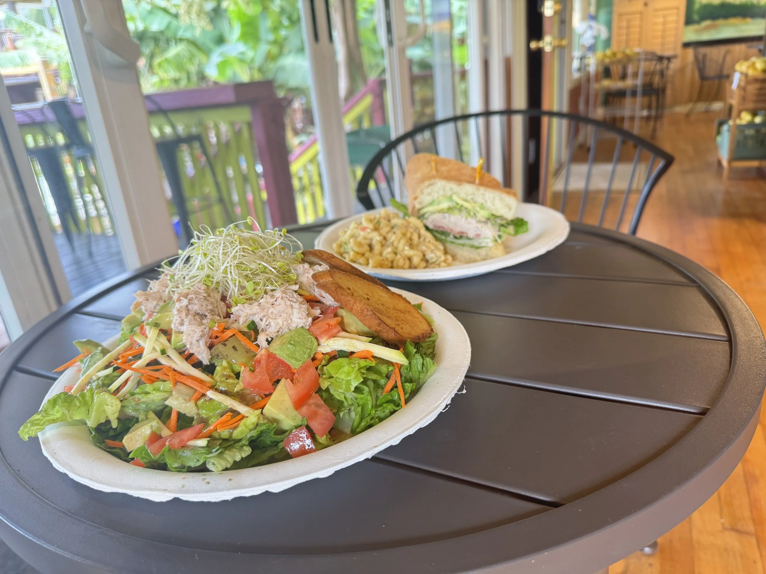 Two plates of salad and sandwich on a tray, with a background of a sunlit room and a balcony with greenery.