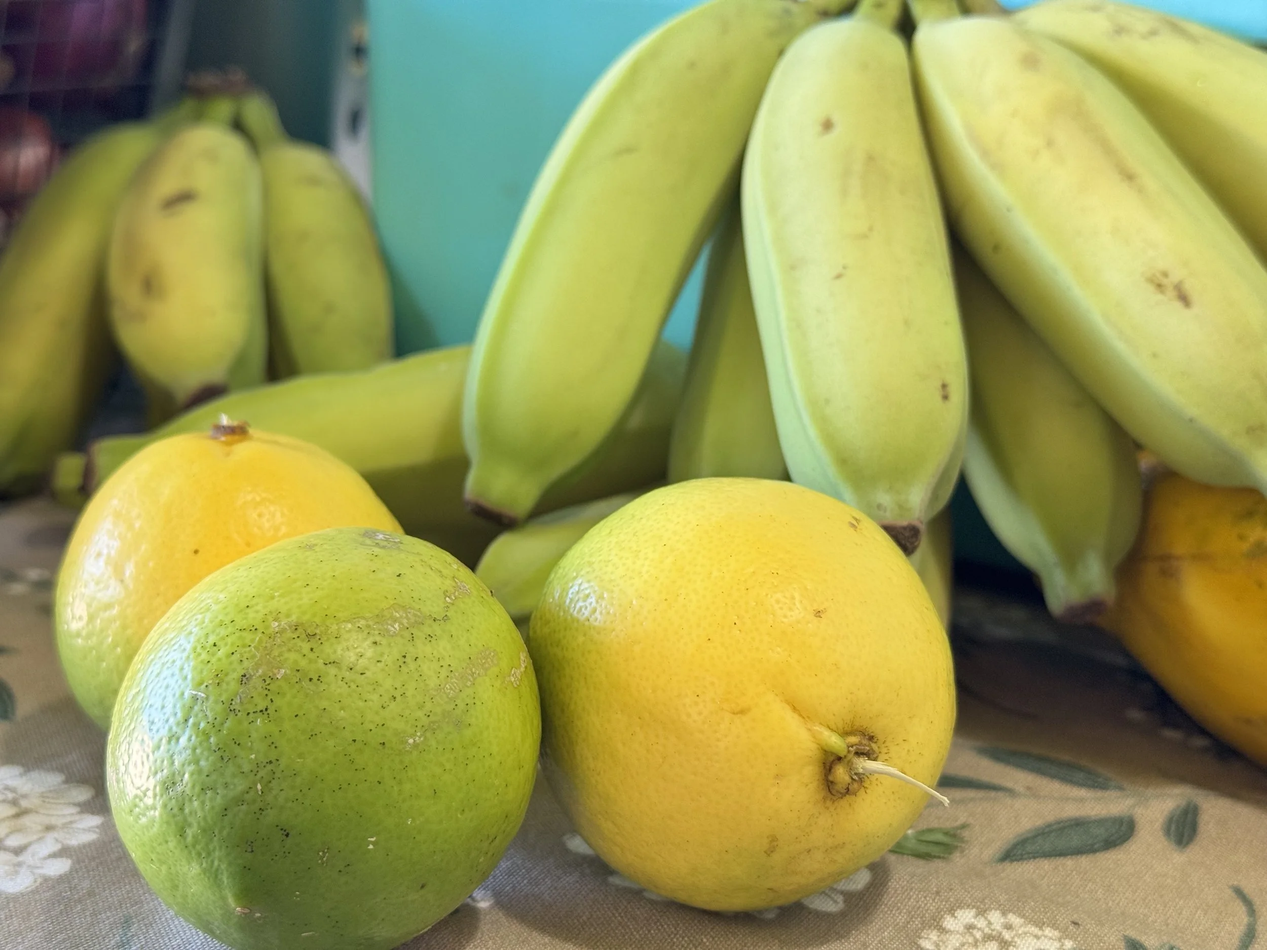 Cluster of yellow and green bananas on display with some yellow oranges in the foreground.