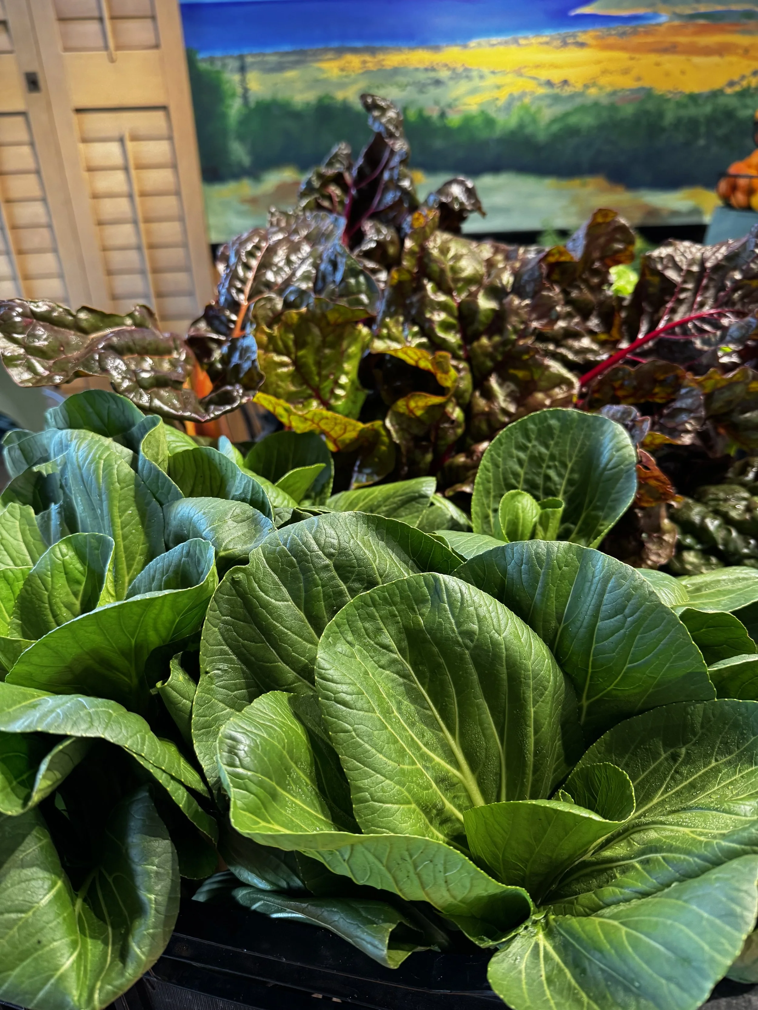 Close-up of green and dark purple leafy plants on display with a colorful landscape painting in the background.