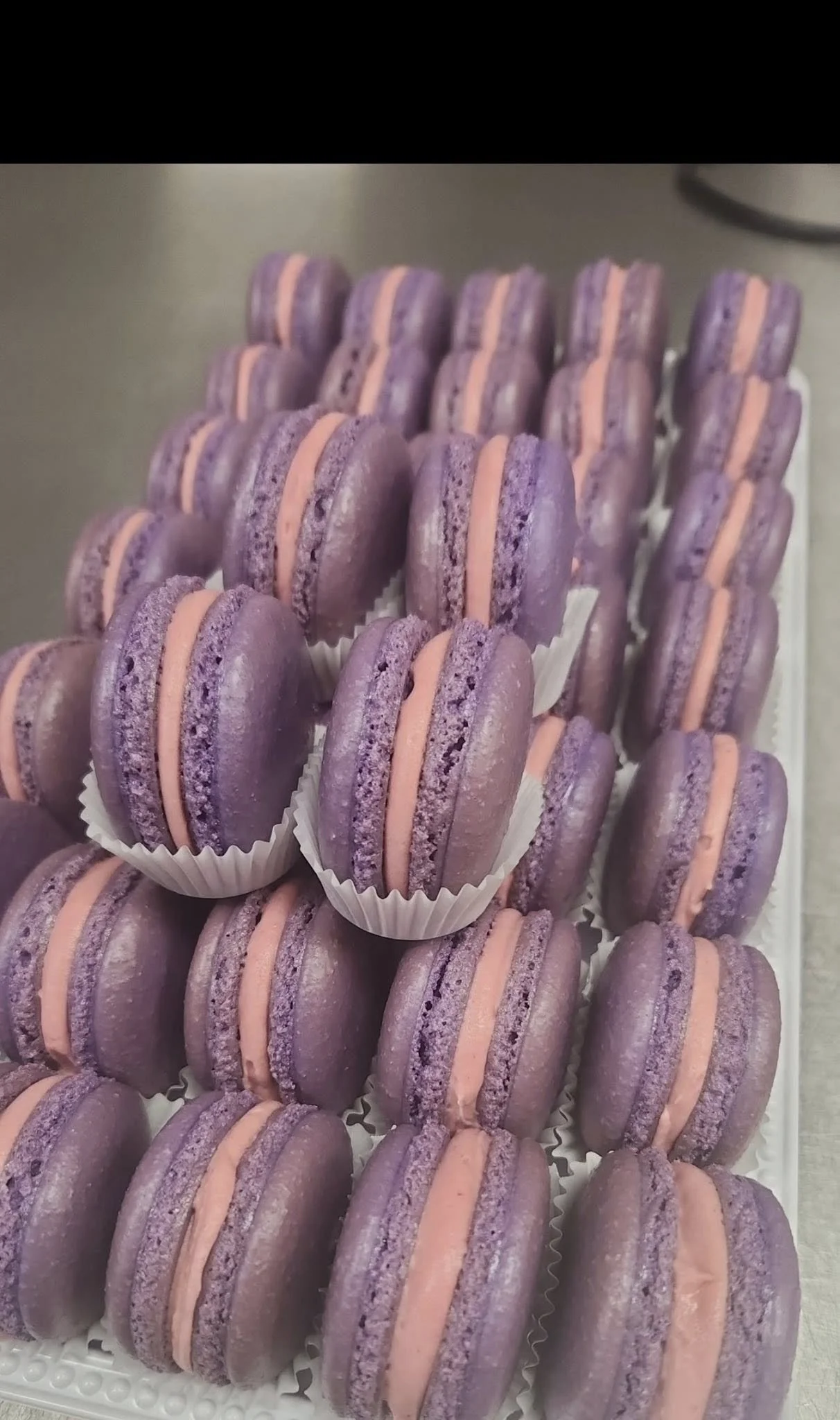 purple.jpg