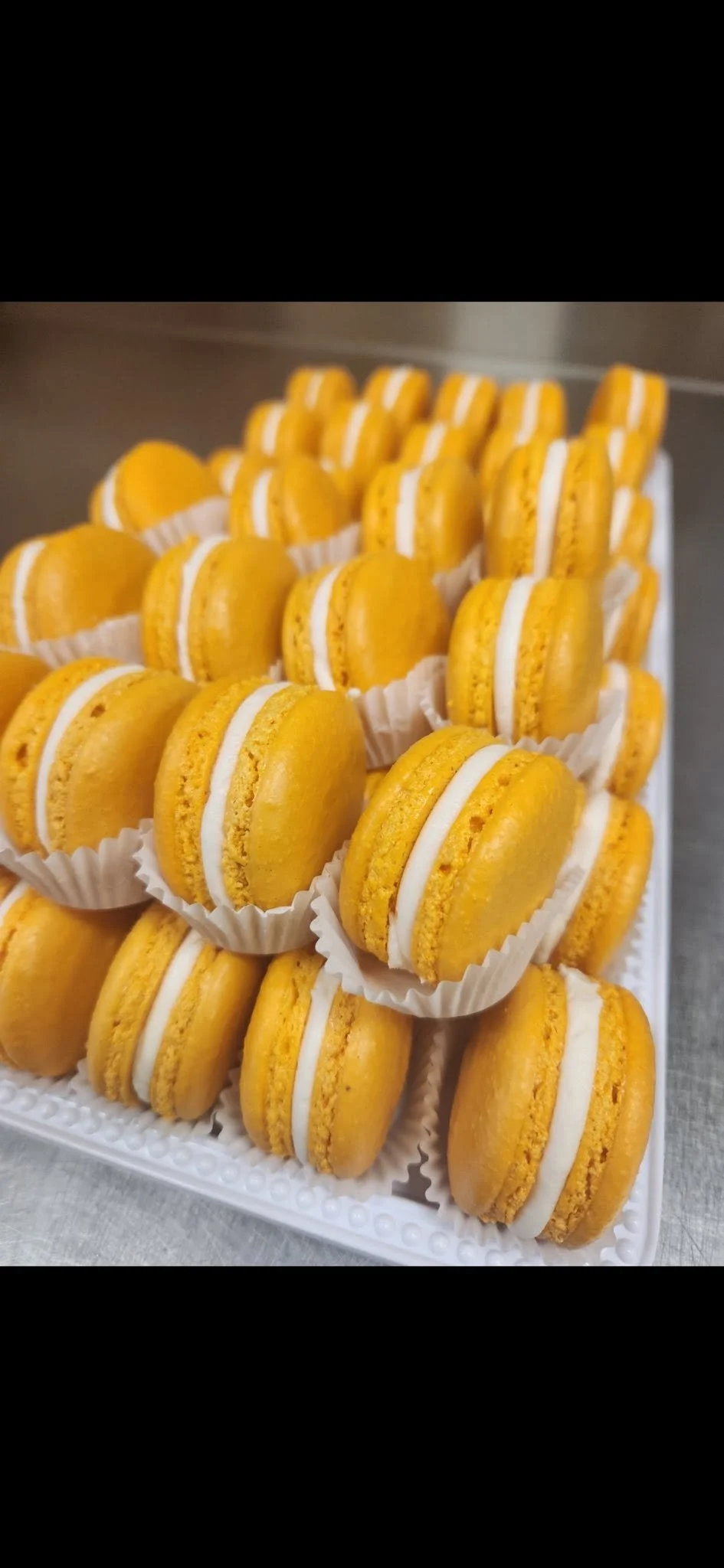 yellow.jpg